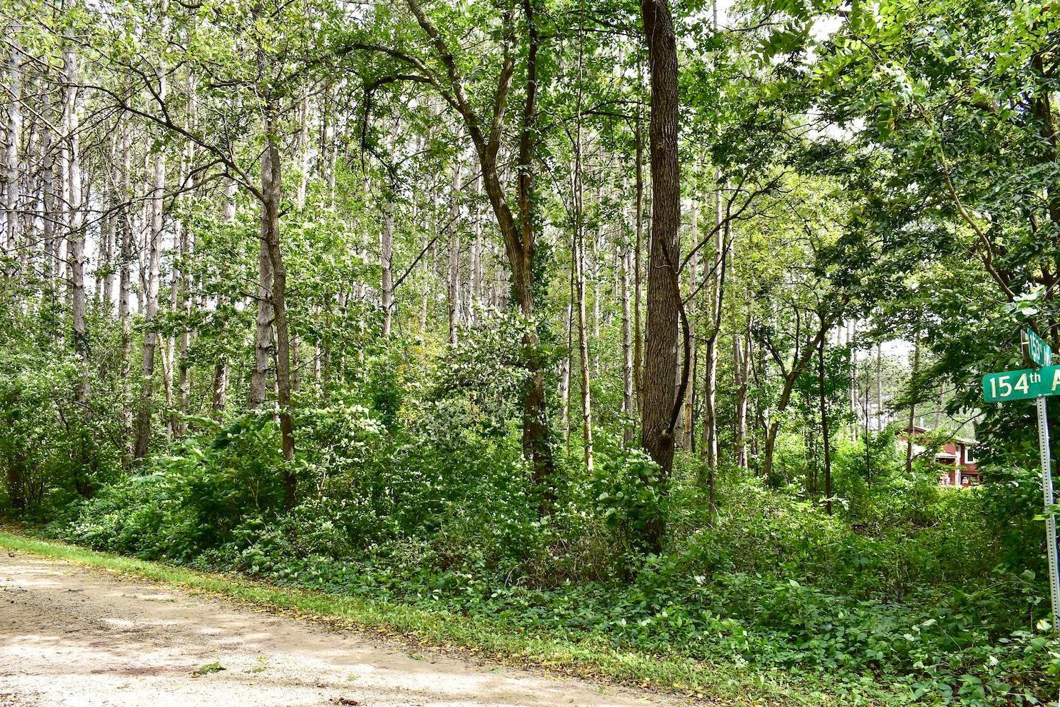 67845 151st Avenue Wabasha, MN 55981 - Photo 30 of 30