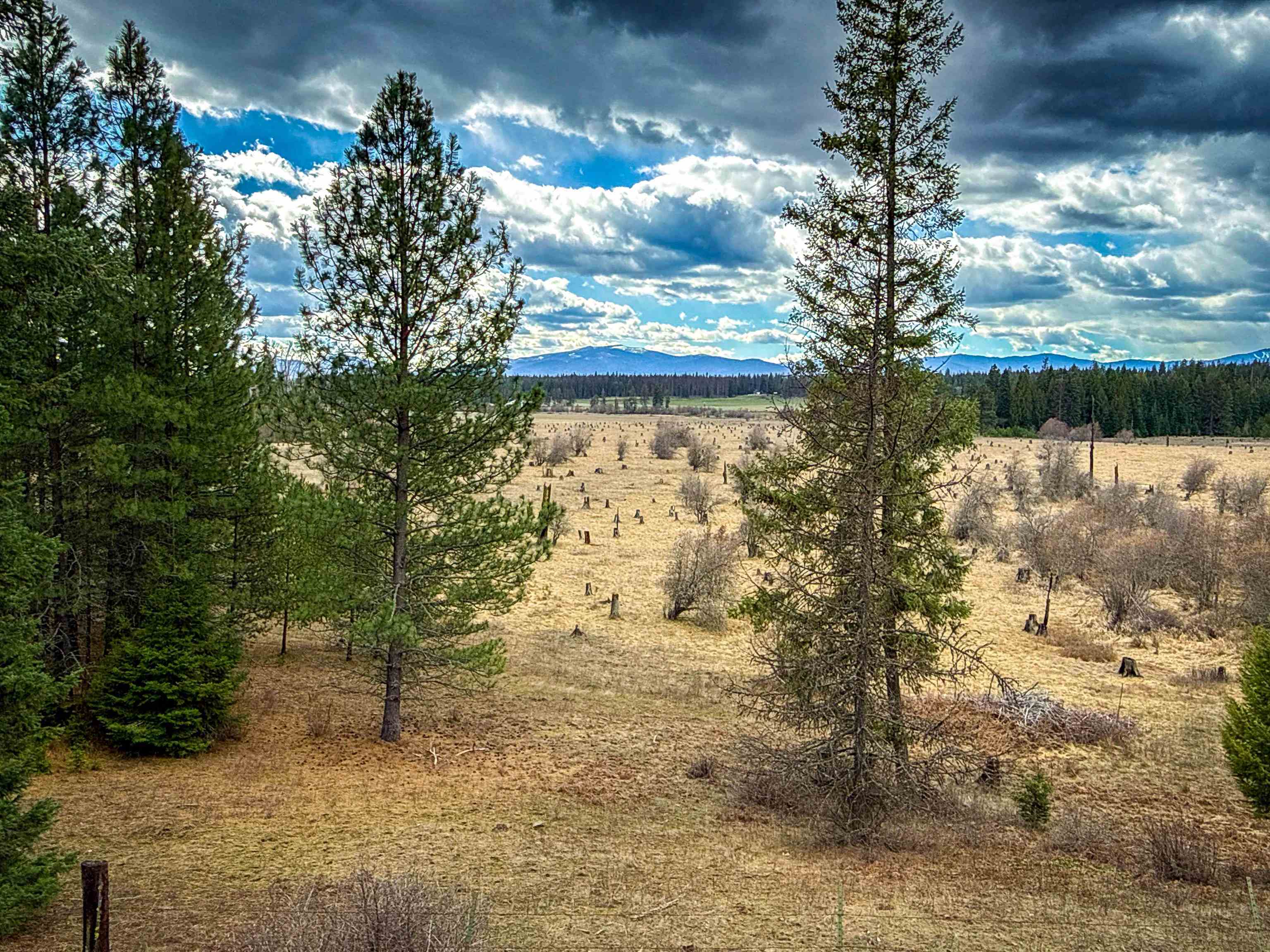 Nka Best Chance Road Usk, WA 99180 - Photo 11 of 40