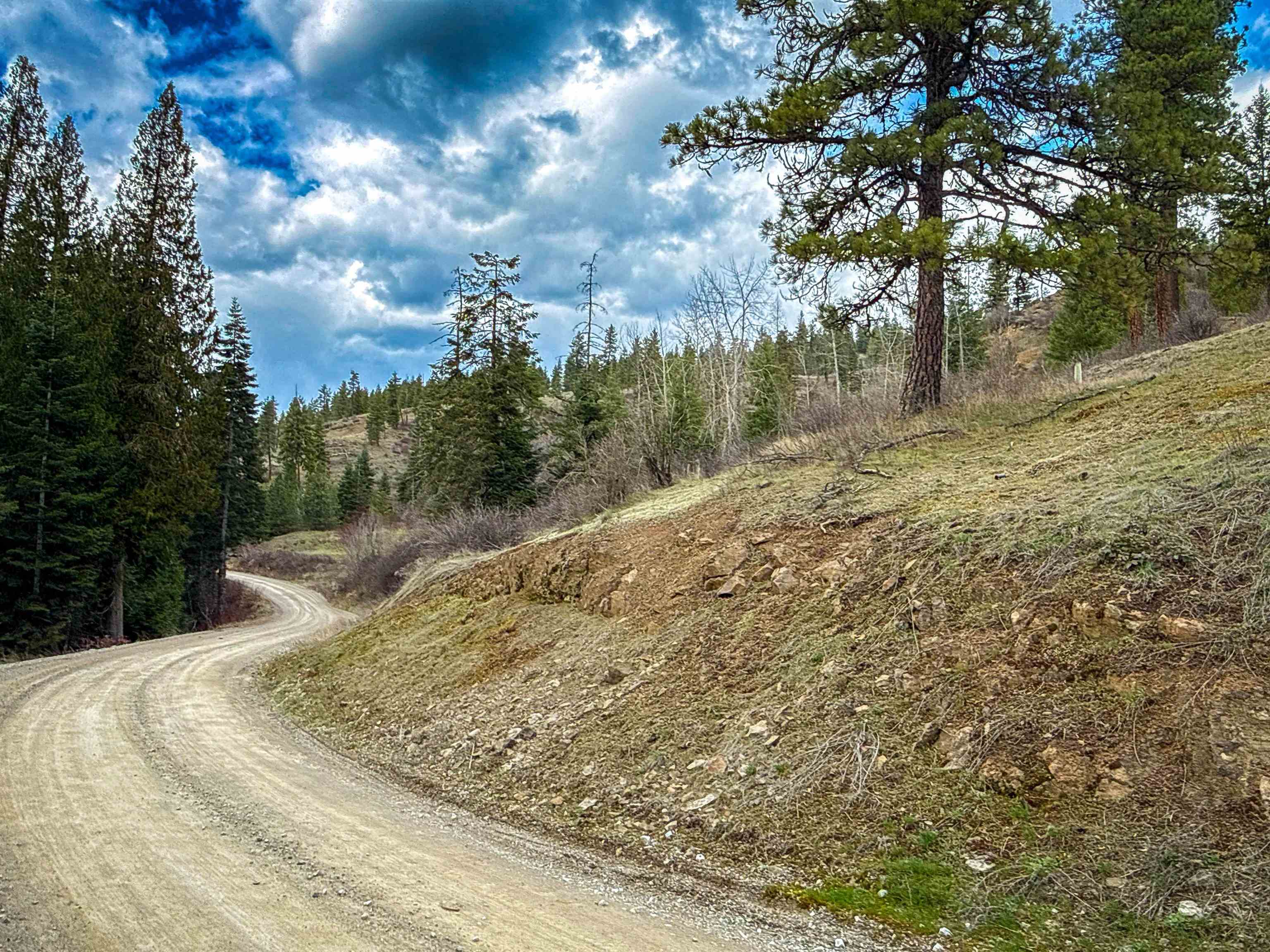 Nka Best Chance Road Usk, WA 99180 - Photo 12 of 40