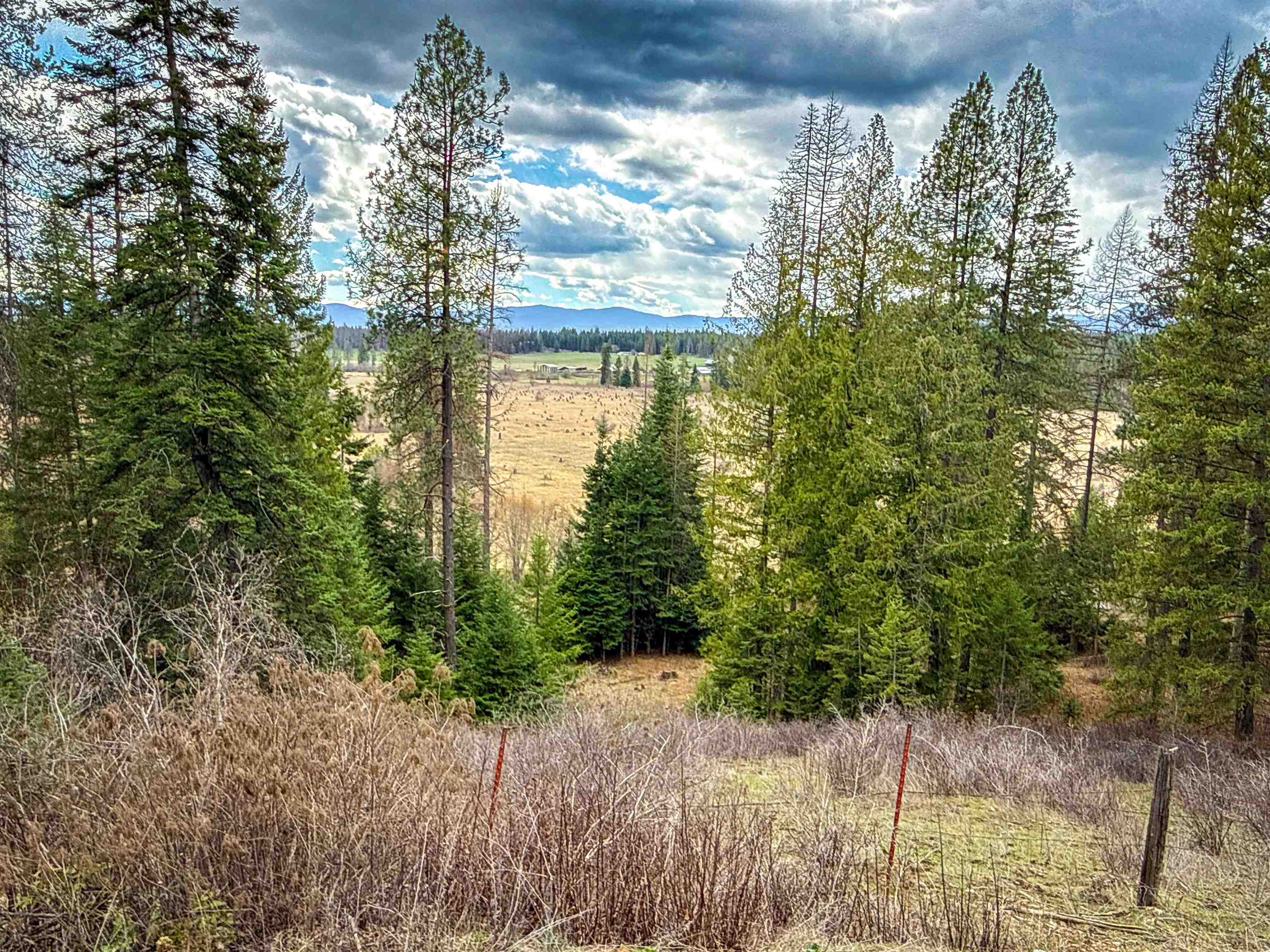 Nka Best Chance Road Usk, WA 99180 - Photo 13 of 40