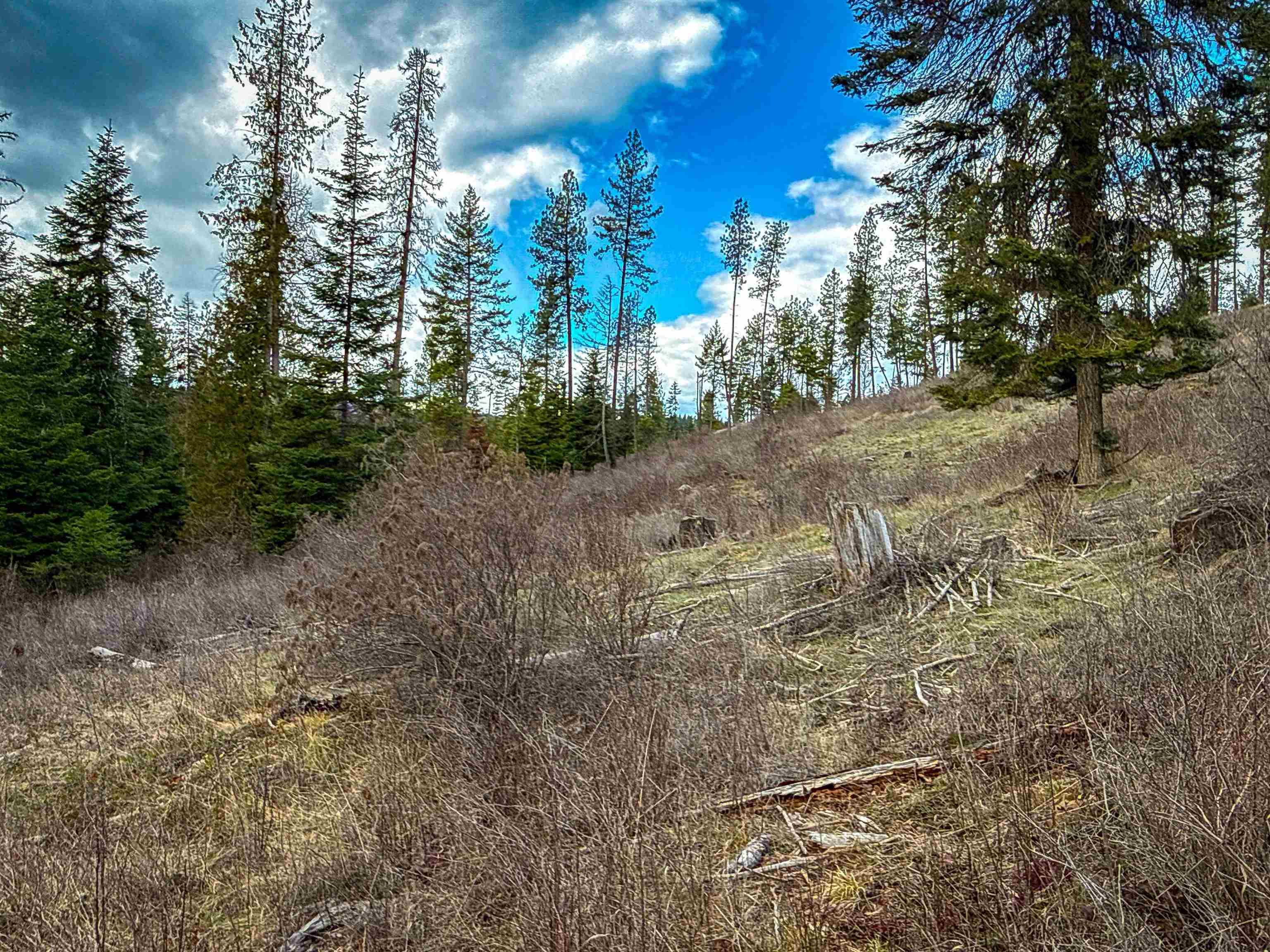 Nka Best Chance Road Usk, WA 99180 - Photo 17 of 40