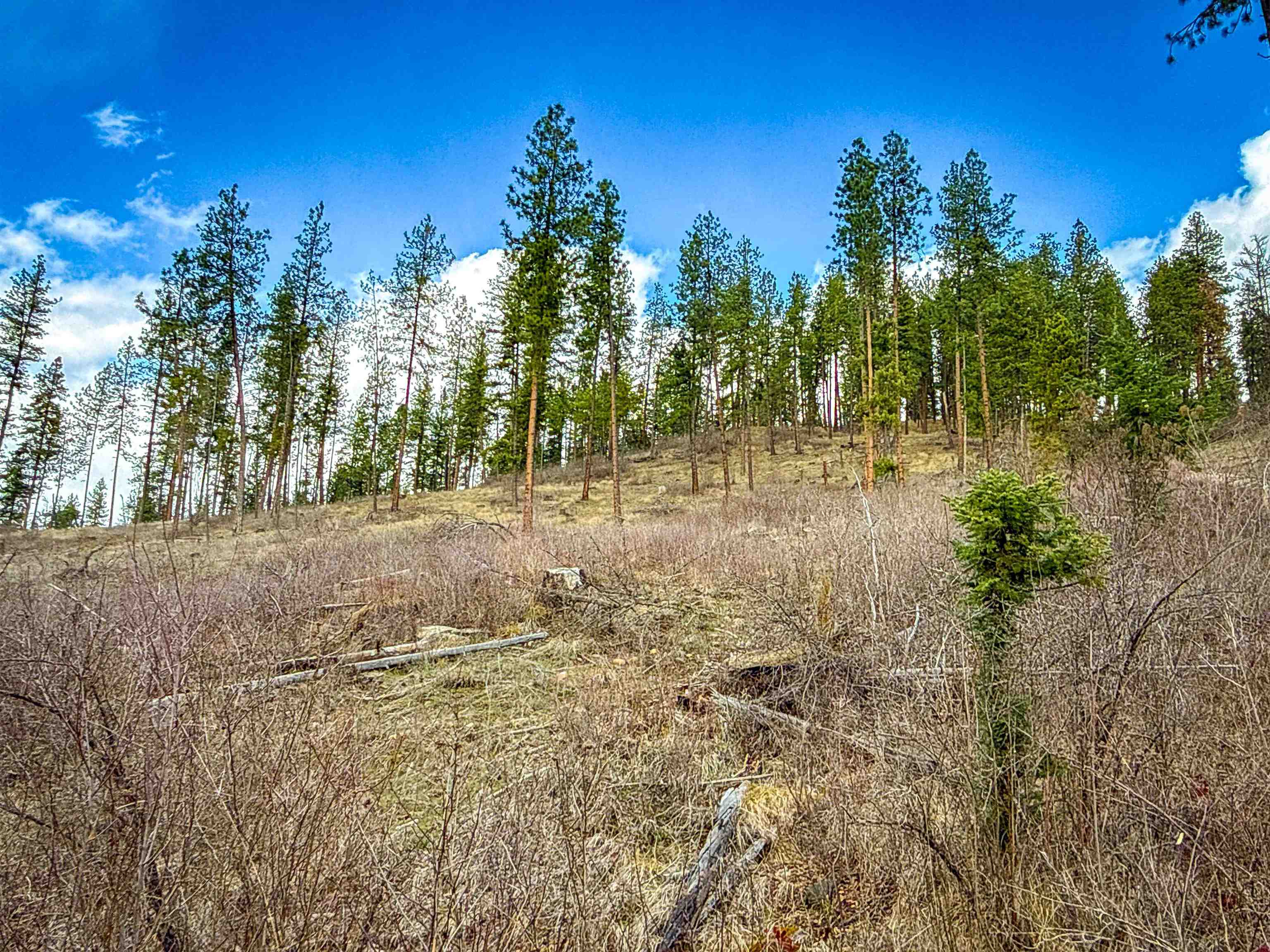 Nka Best Chance Road Usk, WA 99180 - Photo 18 of 40