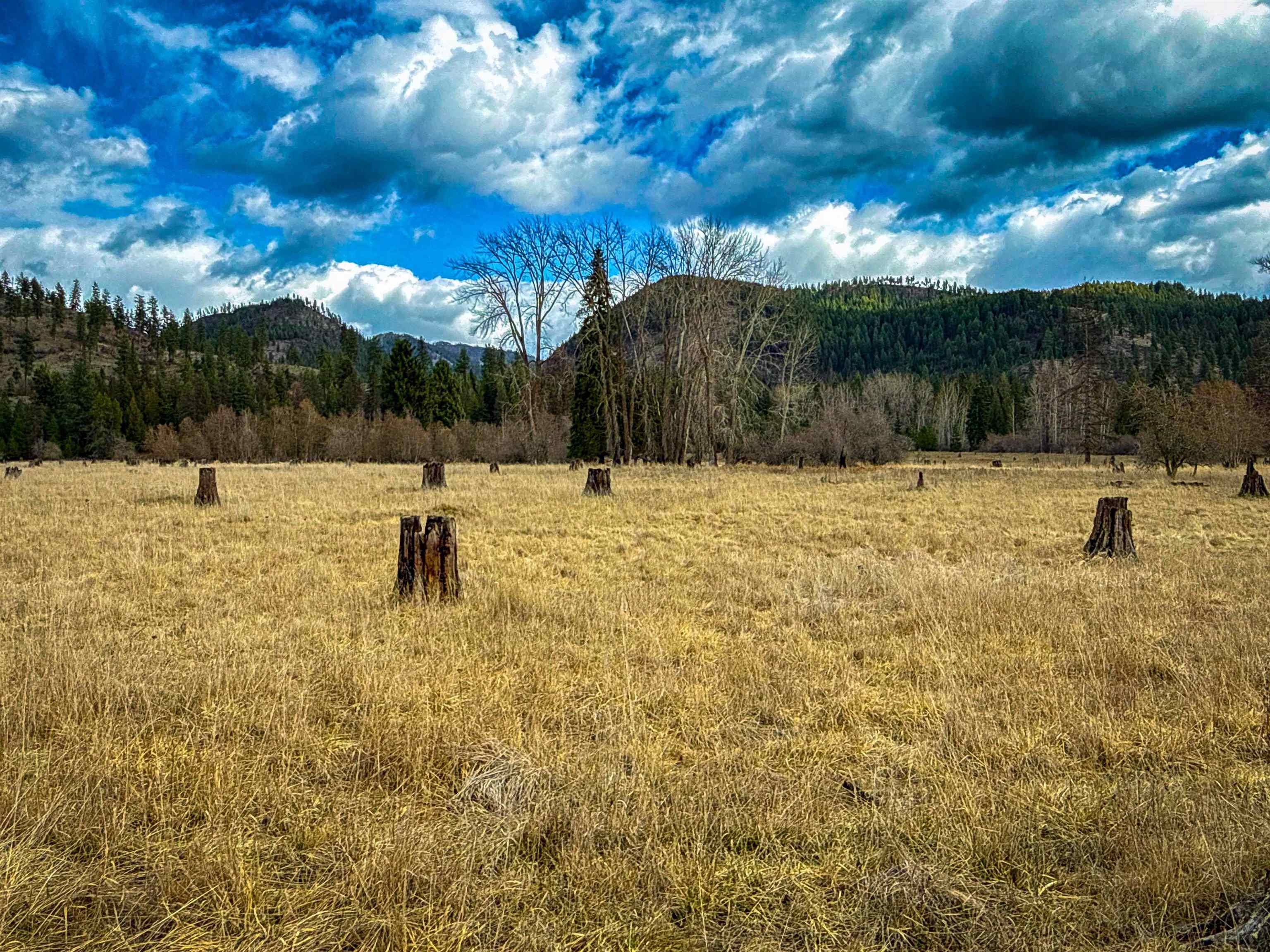 Nka Best Chance Road Usk, WA 99180 - Photo 2 of 40