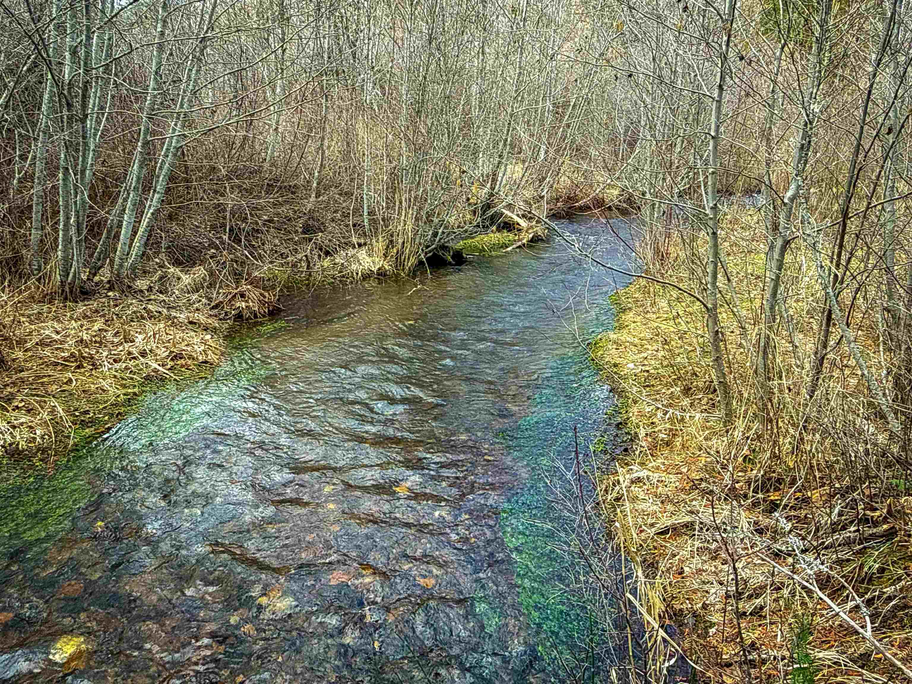 Nka Best Chance Road Usk, WA 99180 - Photo 21 of 40