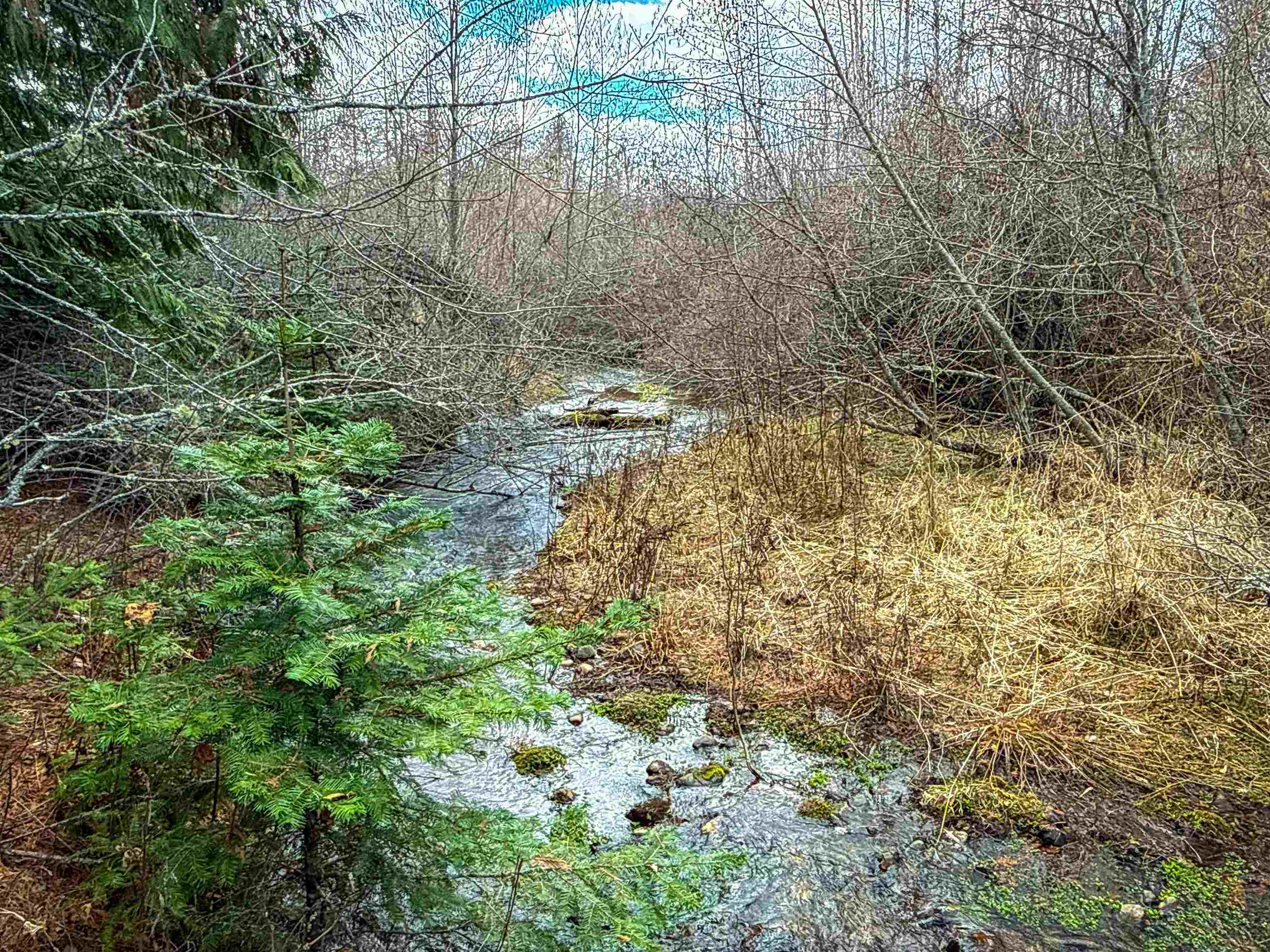 Nka Best Chance Road Usk, WA 99180 - Photo 22 of 40