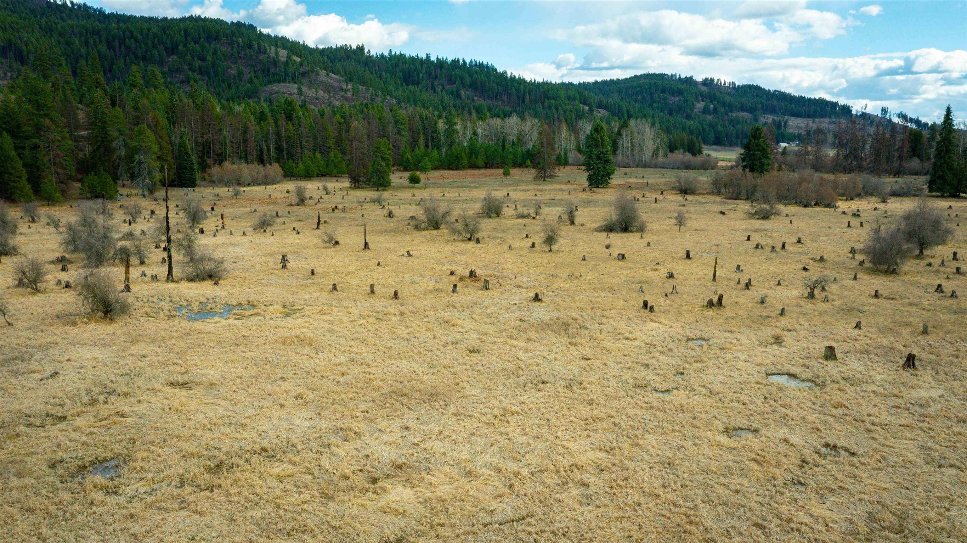 Nka Best Chance Road Usk, WA 99180 - Photo 23 of 40