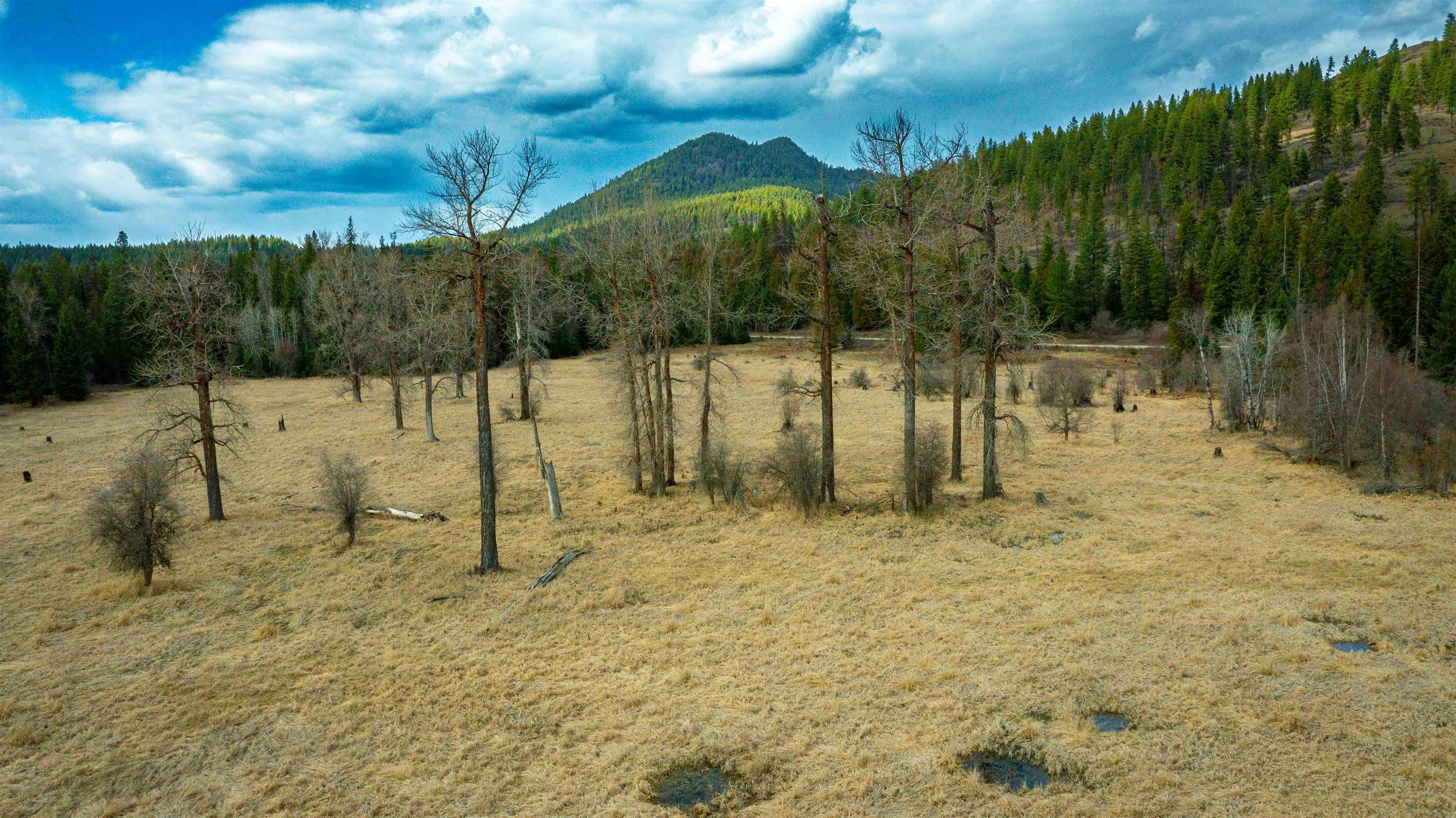 Nka Best Chance Road Usk, WA 99180 - Photo 24 of 40