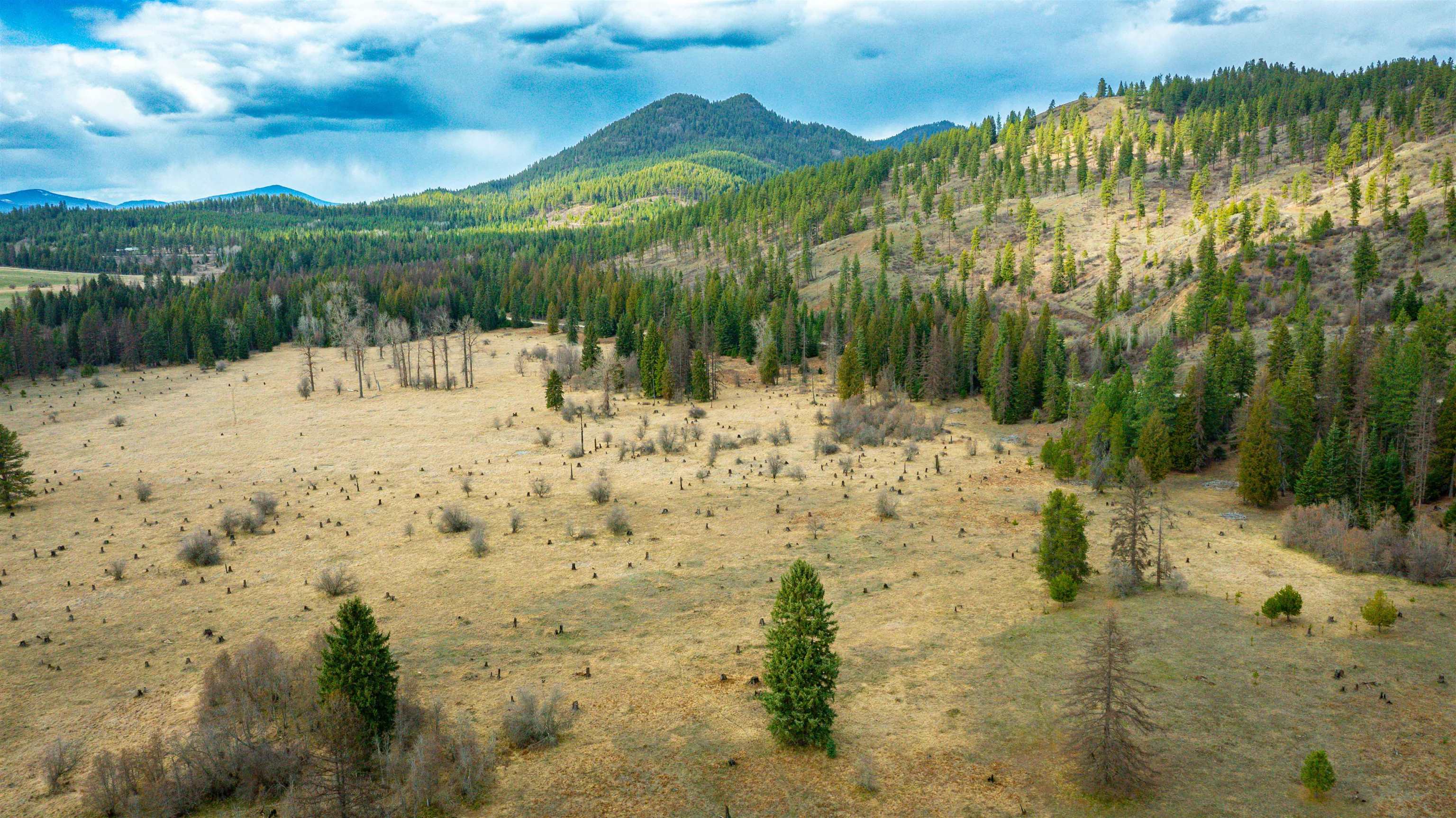 Nka Best Chance Road Usk, WA 99180 - Photo 25 of 40