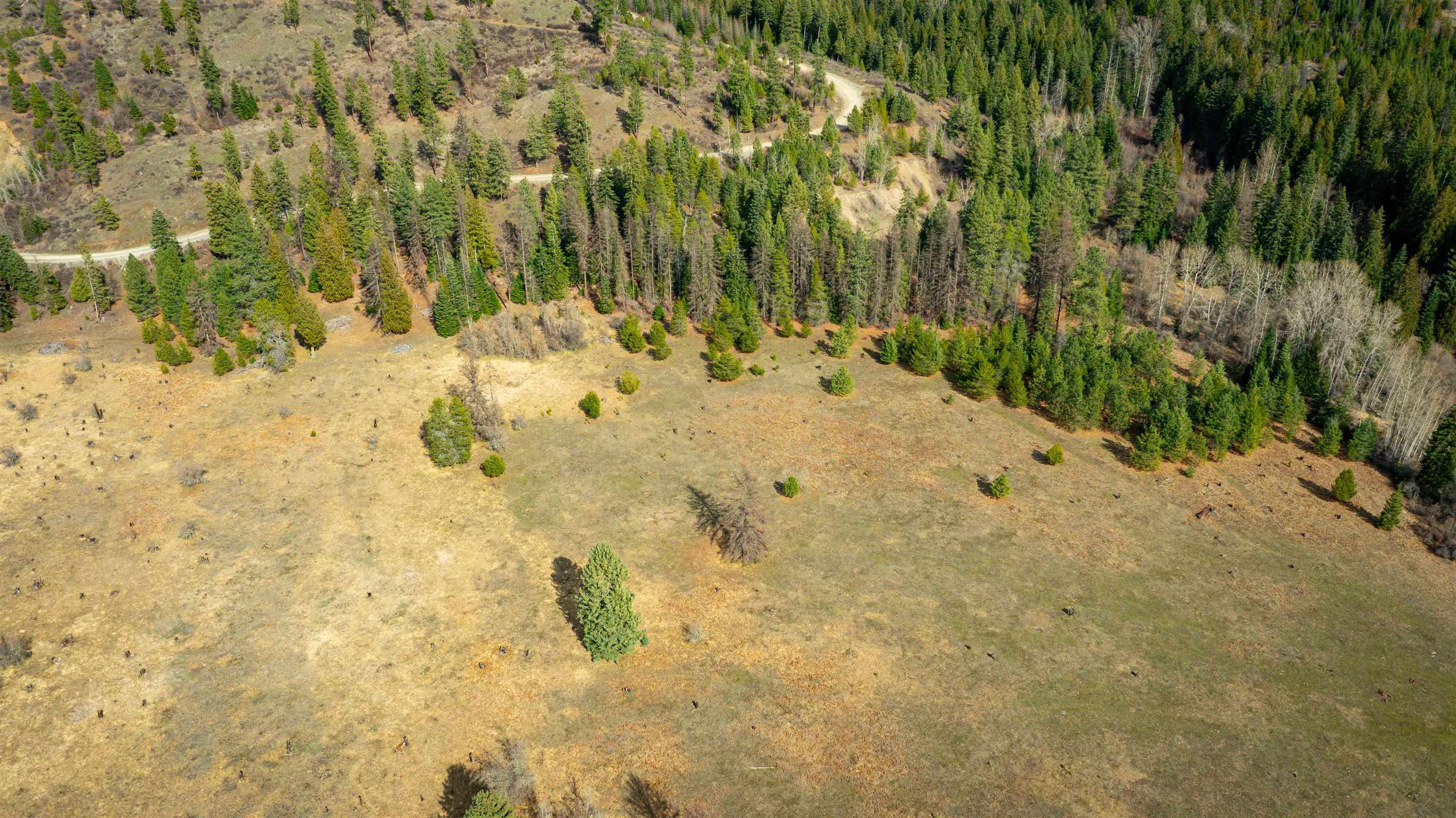 Nka Best Chance Road Usk, WA 99180 - Photo 27 of 40