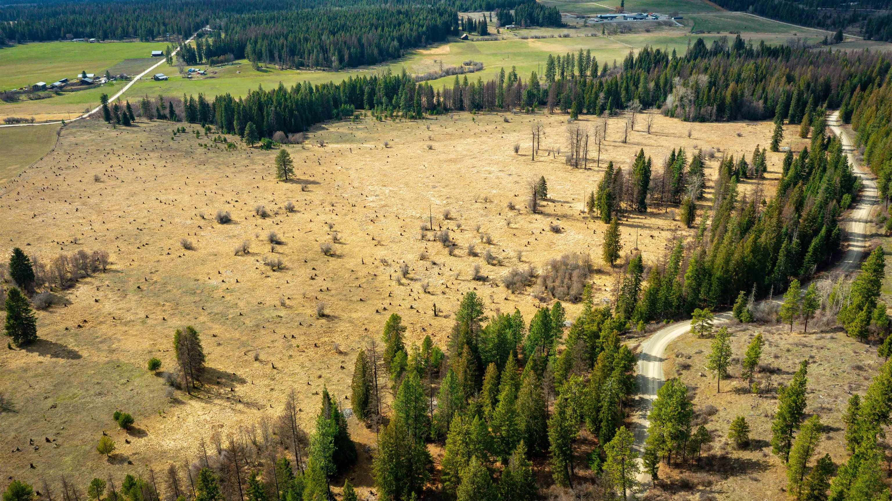 Nka Best Chance Road Usk, WA 99180 - Photo 29 of 40