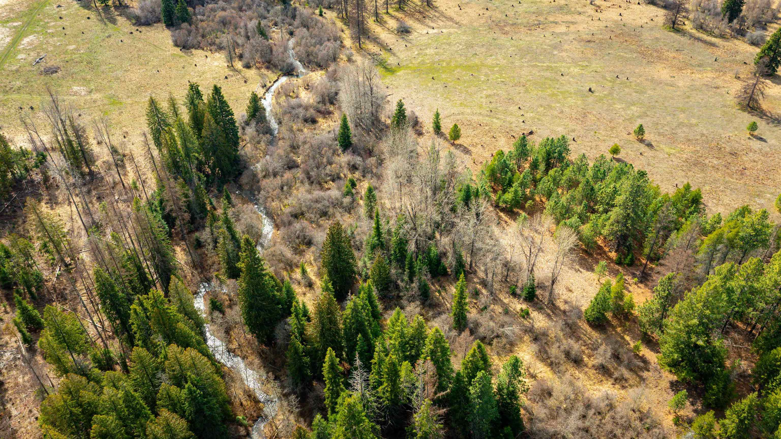 Nka Best Chance Road Usk, WA 99180 - Photo 30 of 40