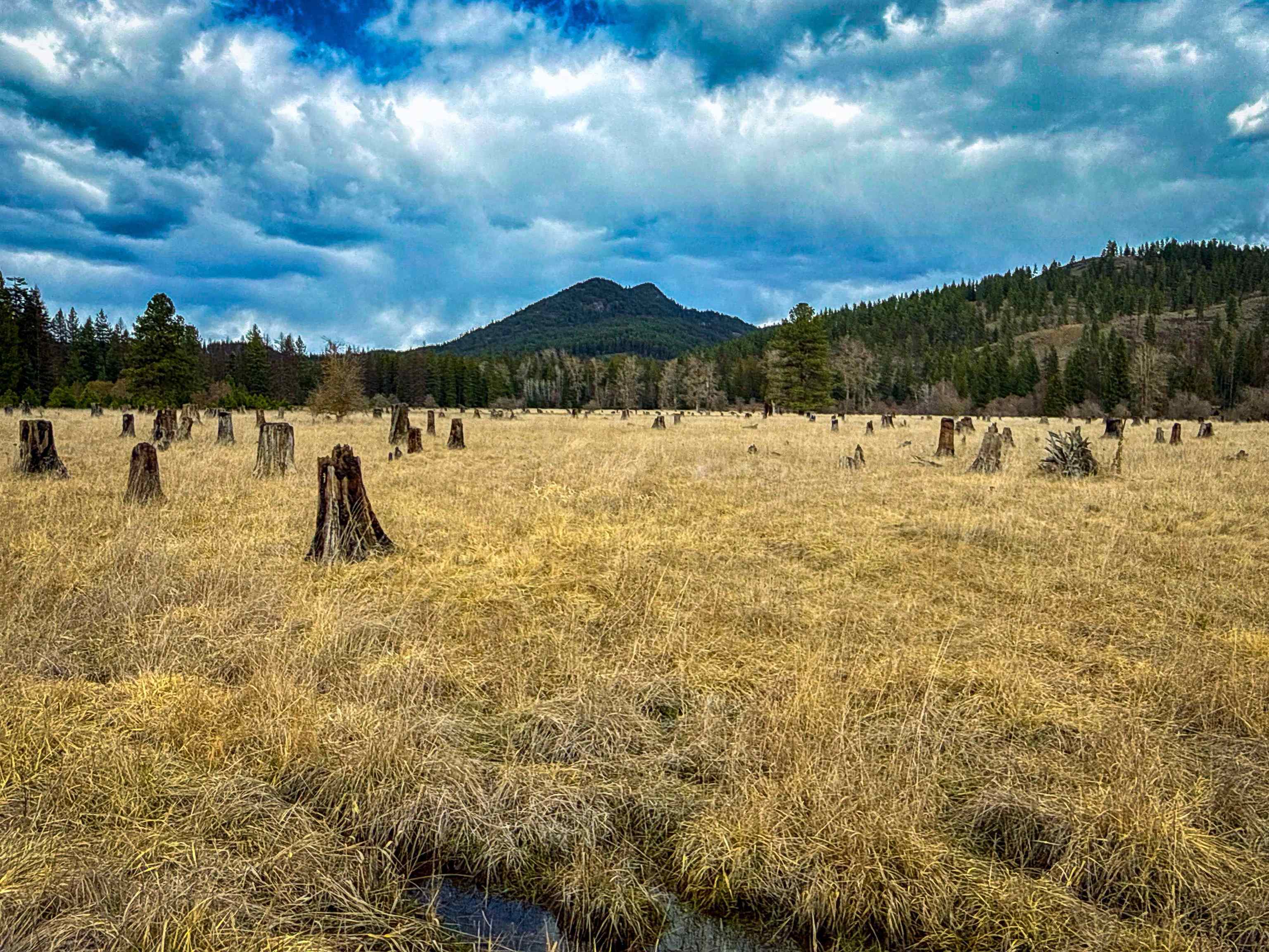 Nka Best Chance Road Usk, WA 99180 - Photo 3 of 40