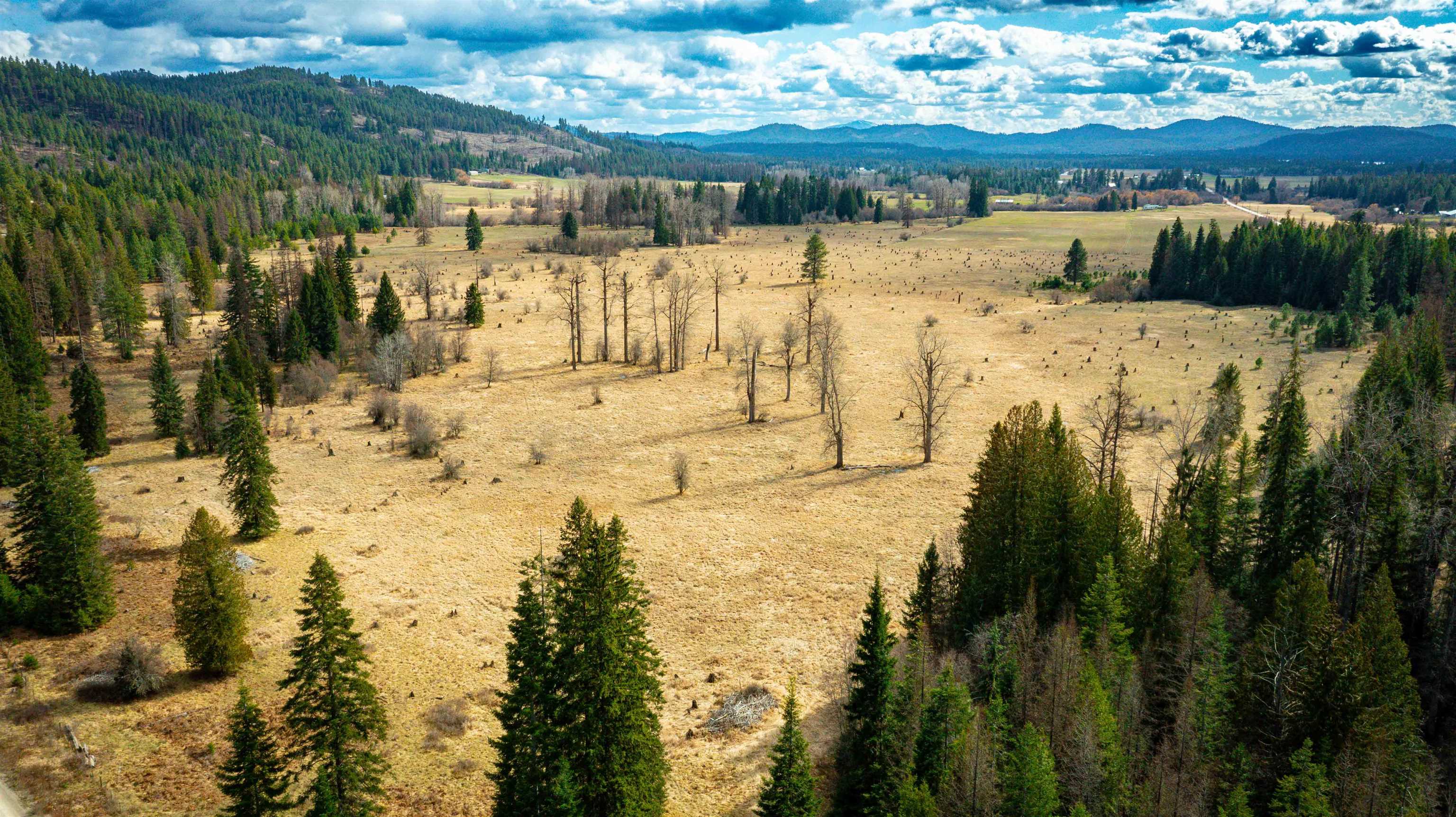 Nka Best Chance Road Usk, WA 99180 - Photo 31 of 40