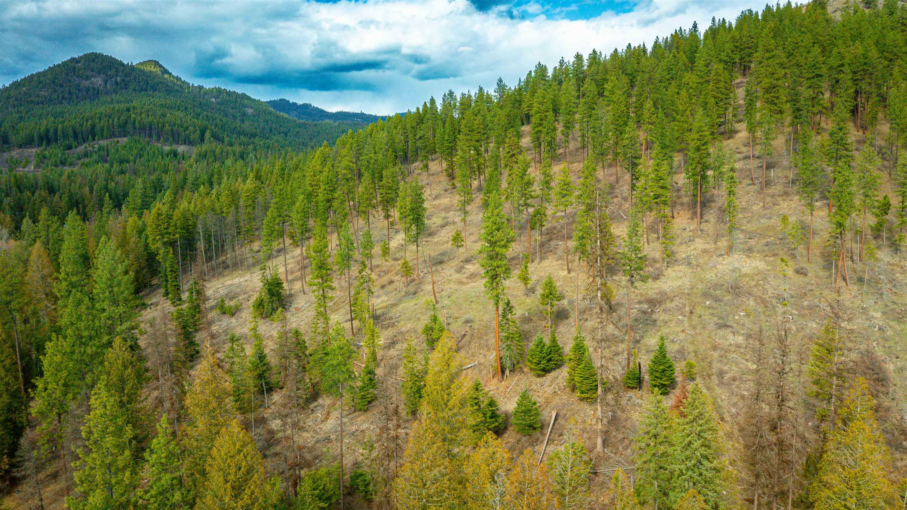 Nka Best Chance Road Usk, WA 99180 - Photo 32 of 40