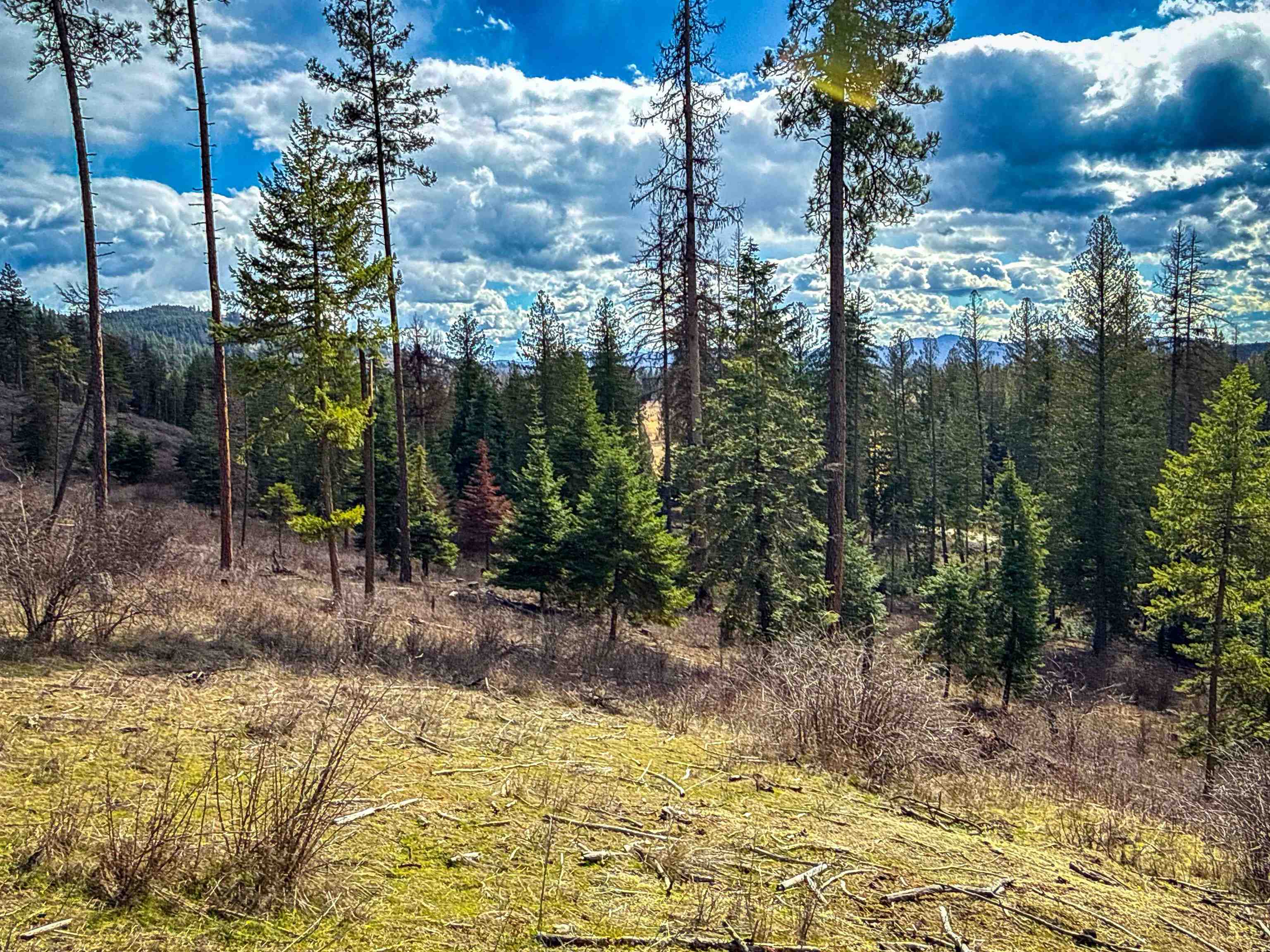 Nka Best Chance Road Usk, WA 99180 - Photo 4 of 40