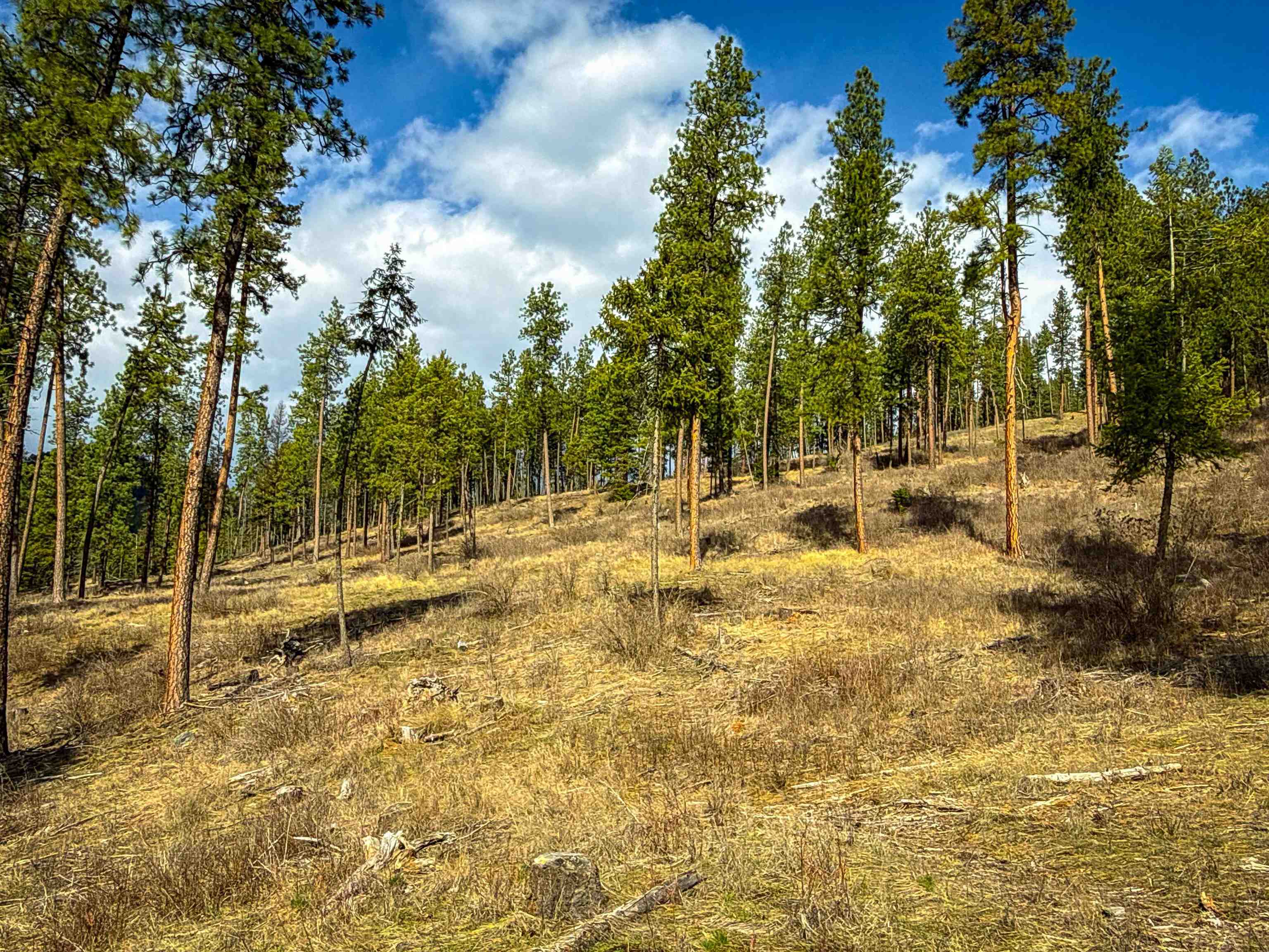 Nka Best Chance Road Usk, WA 99180 - Photo 5 of 40