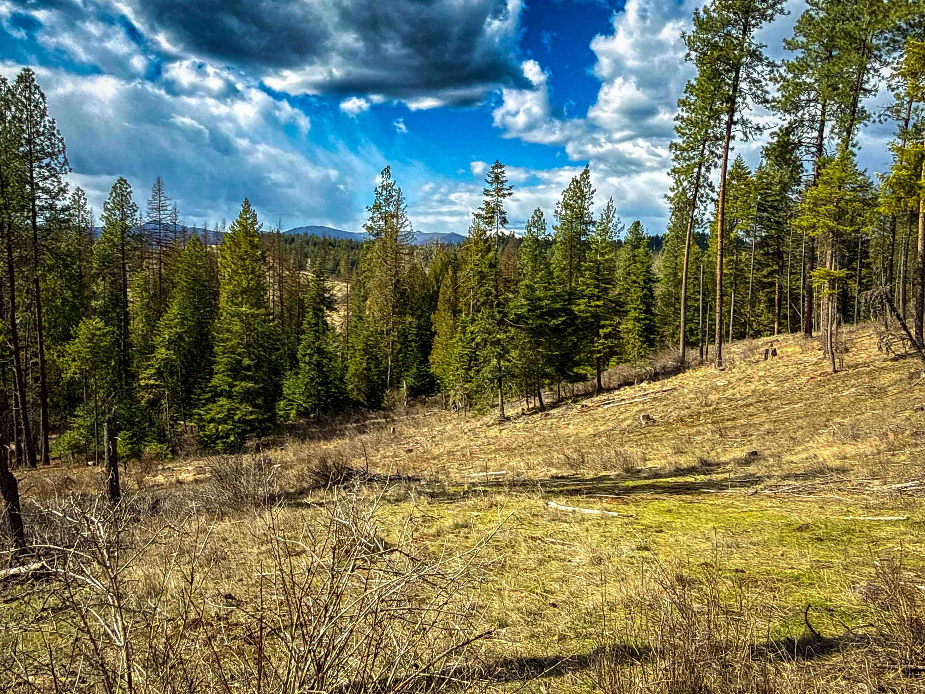 Nka Best Chance Road Usk, WA 99180 - Photo 6 of 40