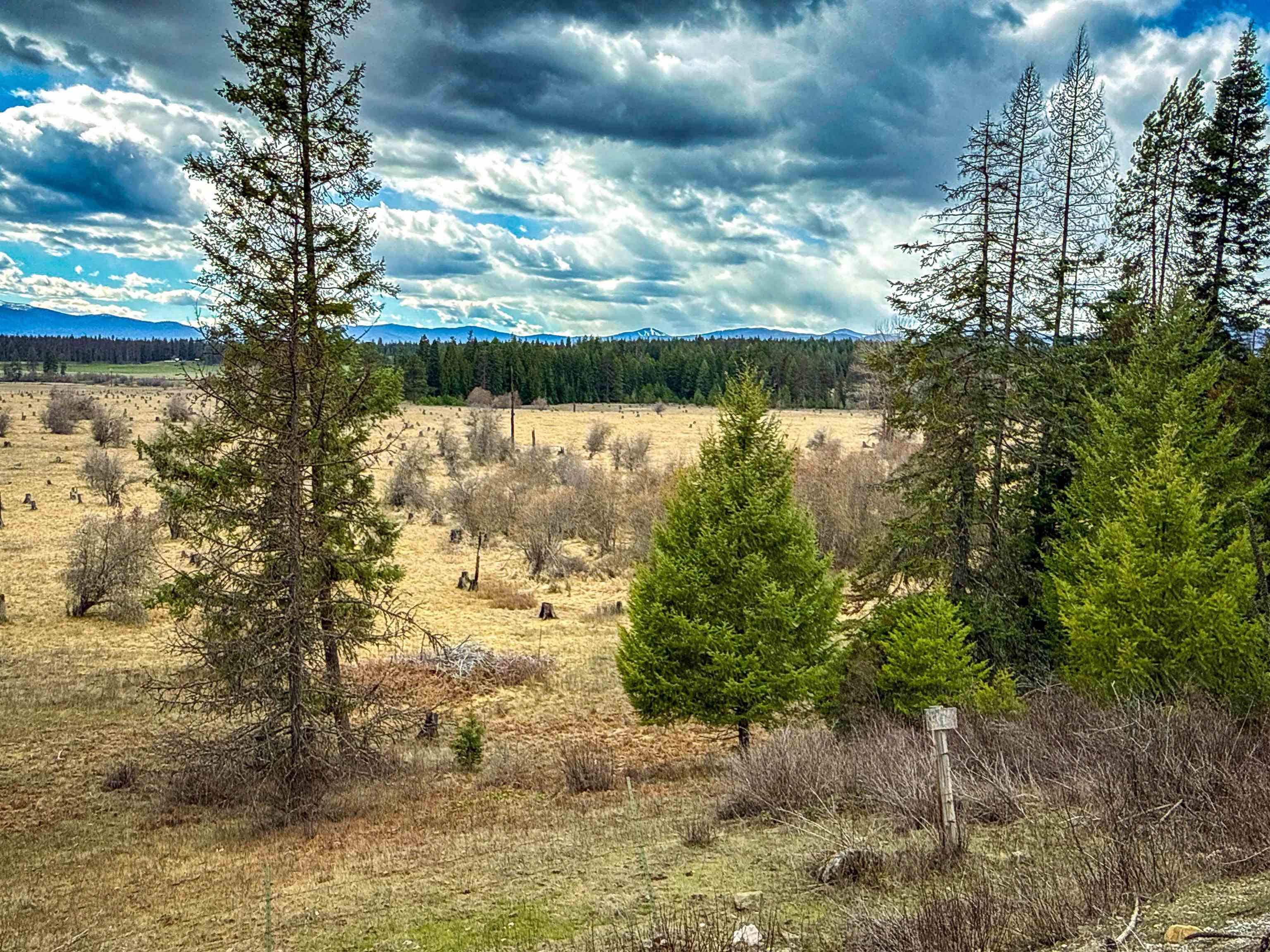 Nka Best Chance Road Usk, WA 99180 - Photo 10 of 40