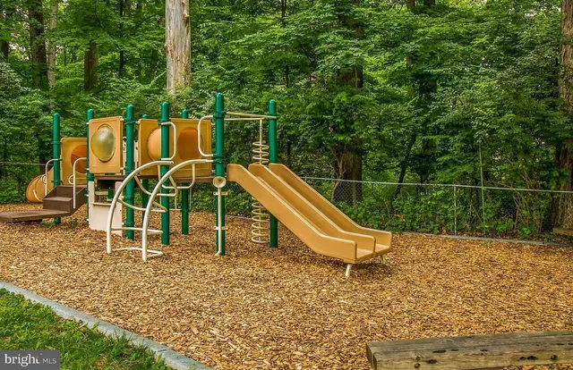 a park with a bench and trees