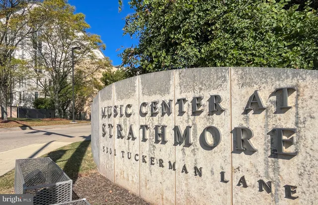 a view of wooden fence and trees