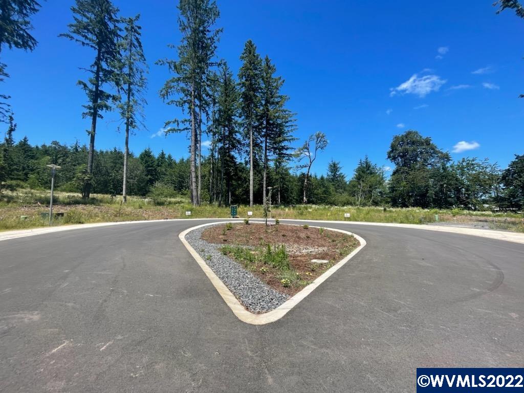 1498 Strawberry Ridge Sweet Home, OR 97386 - Photo 7 of 22