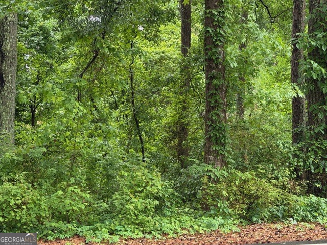 0 Johnson Road Palmetto, GA 30268 - Photo 9 of 12