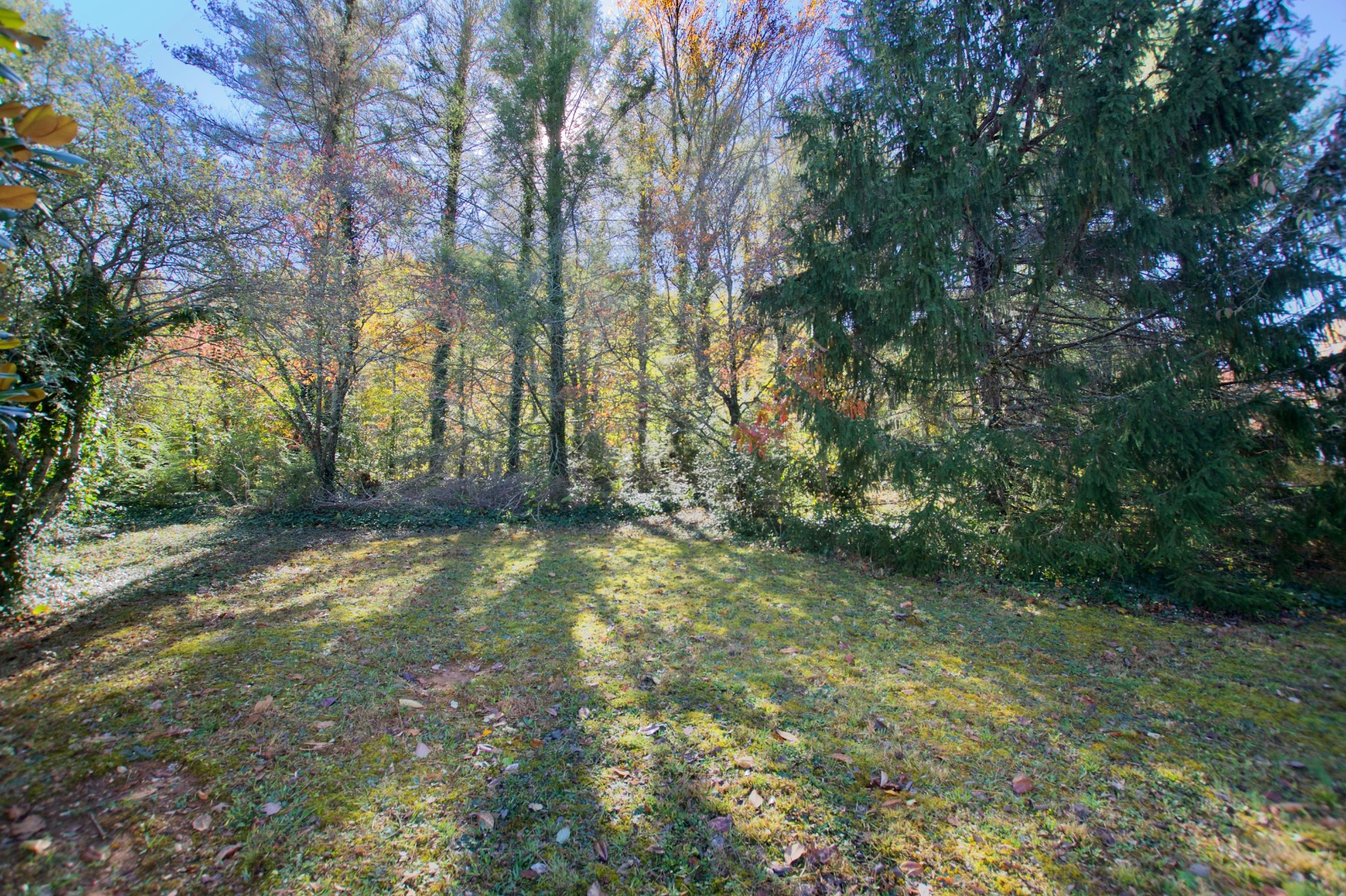 0 East Chestnut Hill Road Townsend, TN 37882 - Photo 7 of 7 Gallery Image 7