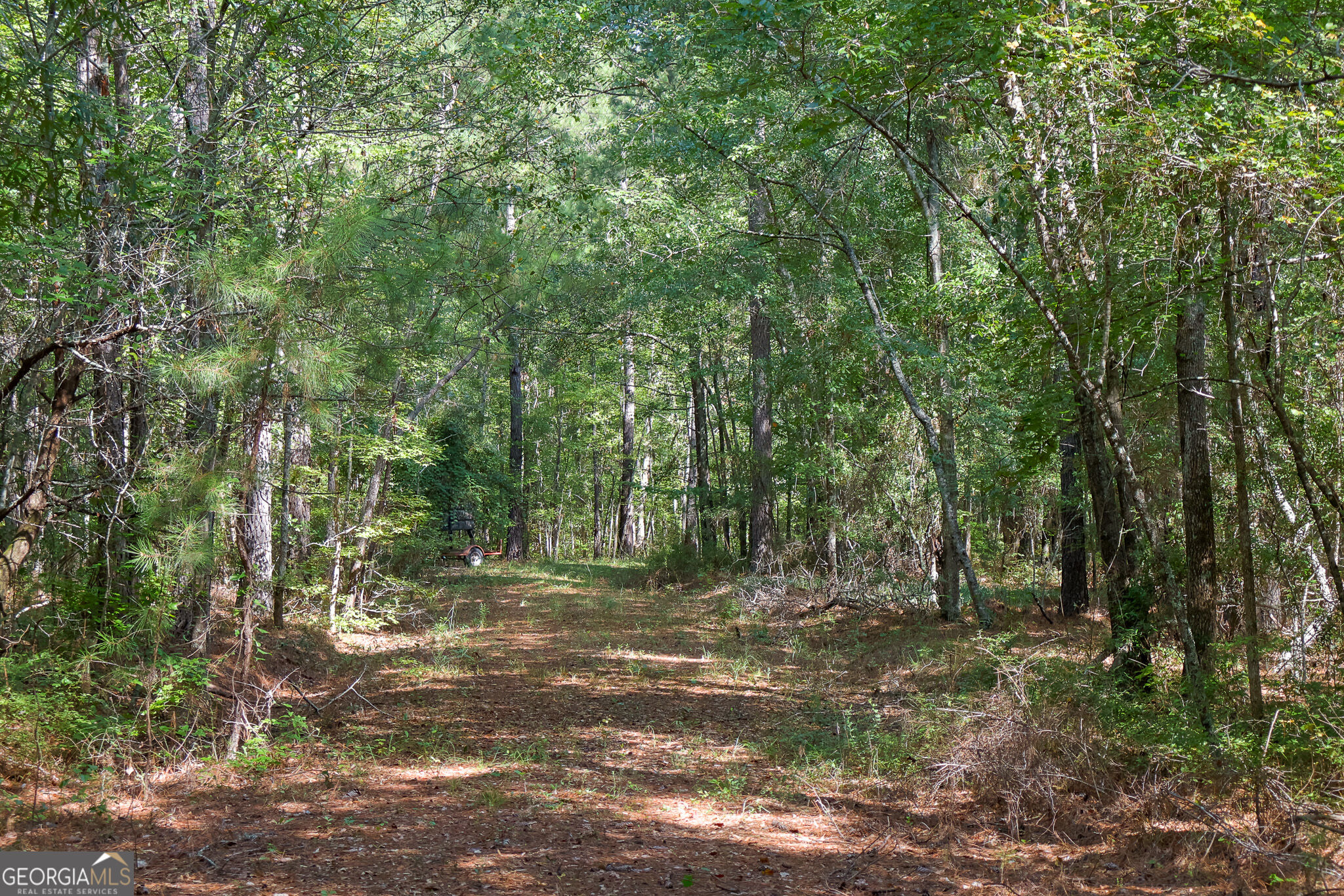 1362 Doyle Road Sardis, GA 30456 - Photo 43 of 53 Gallery Image 43