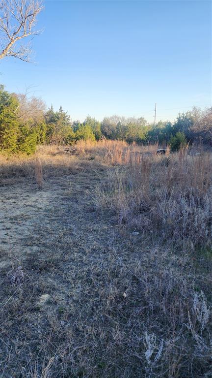 905 Zion Hill Road, Unit B Weatherford, TX 76088 - Photo 15 of 23 a view of a field with trees in background