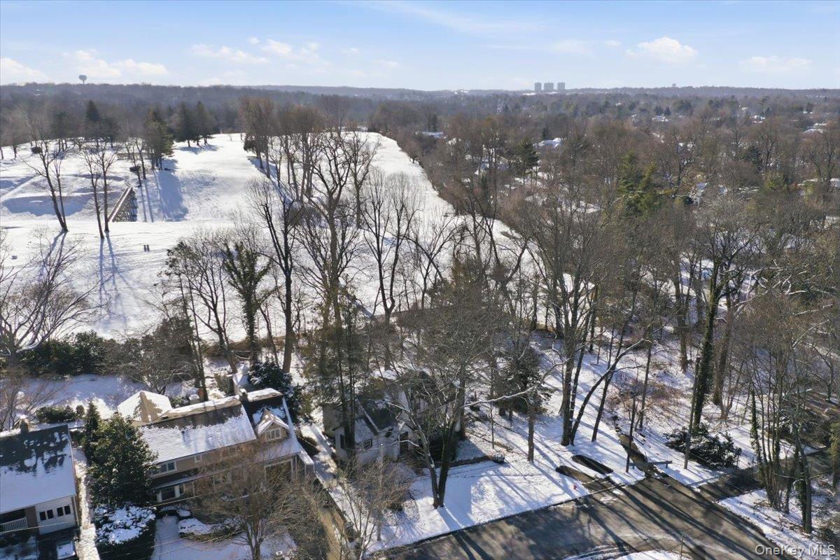 11 Muriel Road Port Washington, NY 11050 - Photo 3 of 47