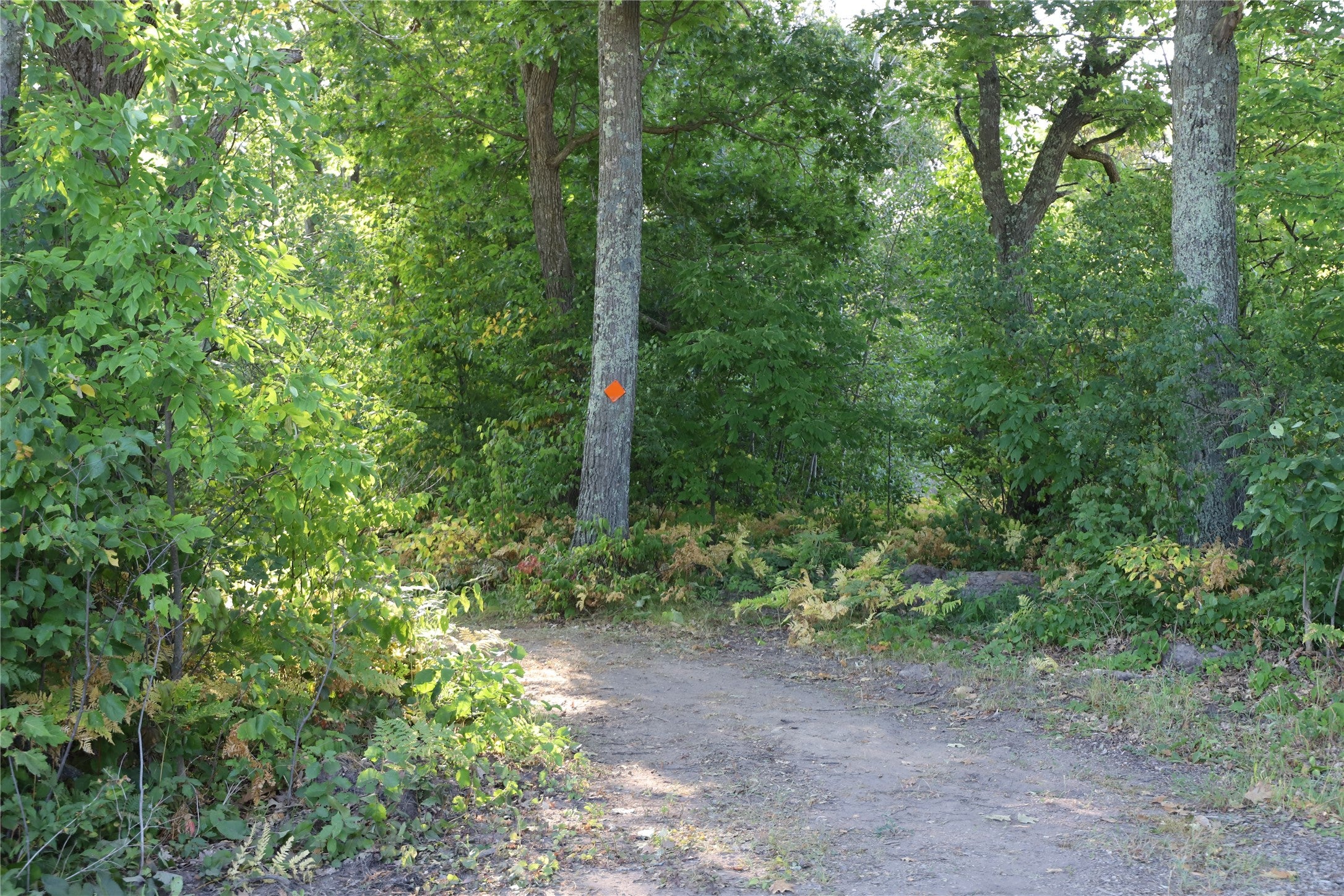 0 Sand Lake Road Stone Lake, WI 54876 - Photo 16 of 38 Gallery Image 16