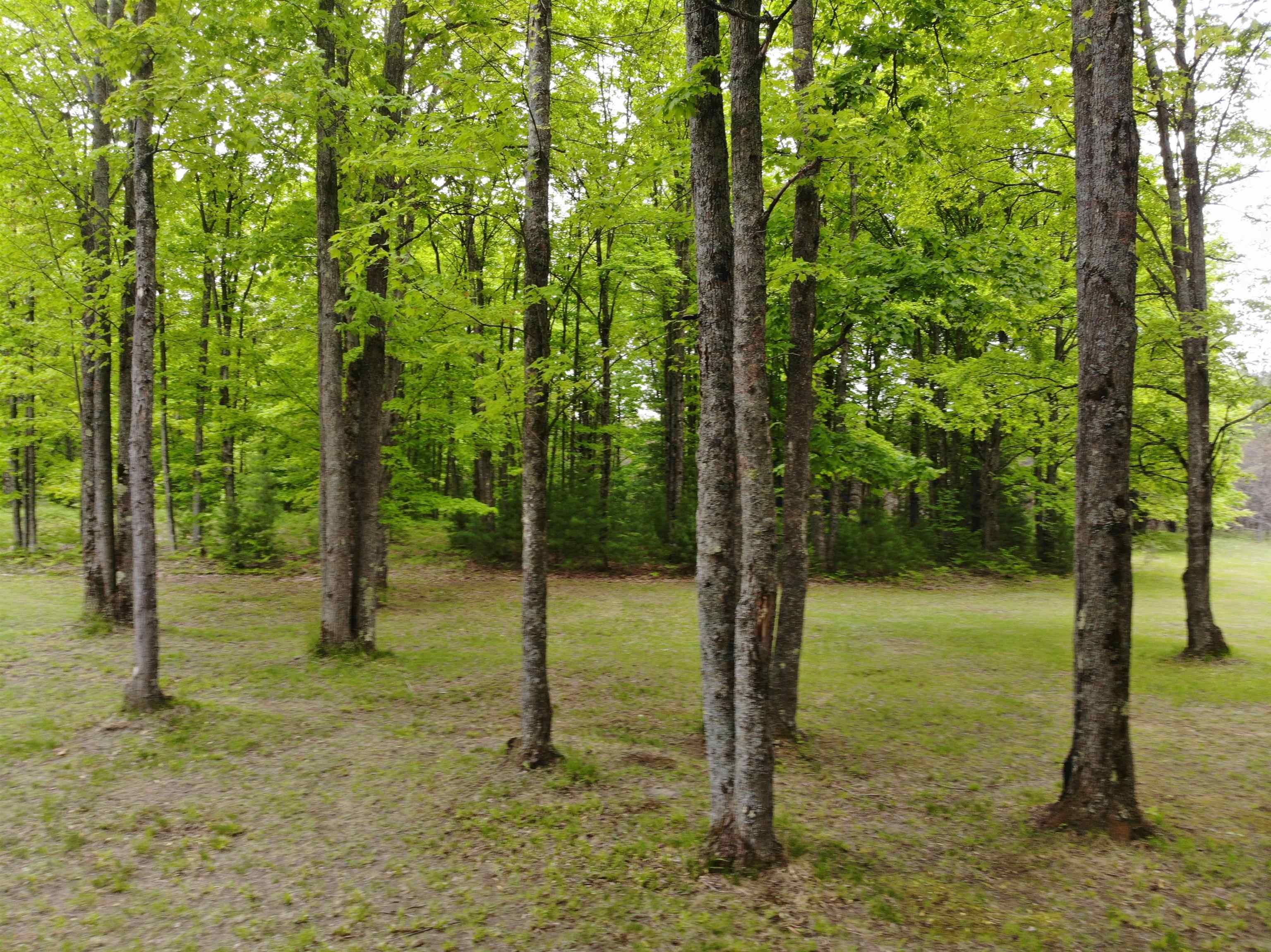 135 Montgomery Road Southwest South Boardman, MI 49680 - Photo 10 of 59