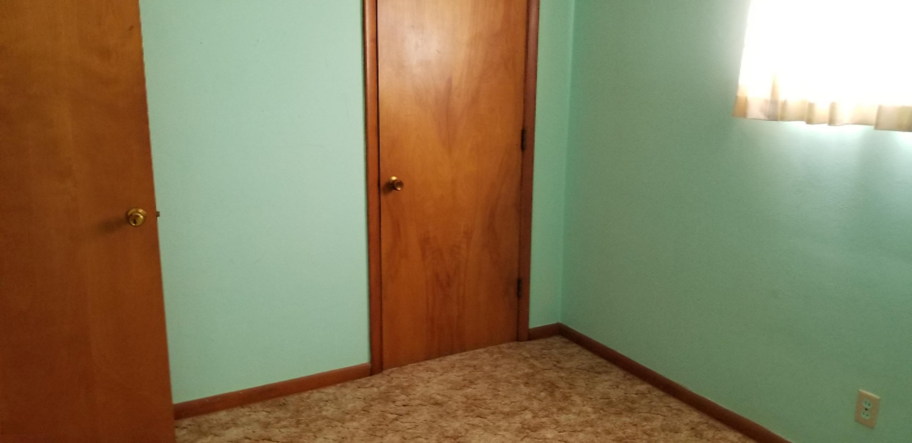 355 North 28th Street Springfield, MI 49037 - Photo 15 of 27 20201201_134431