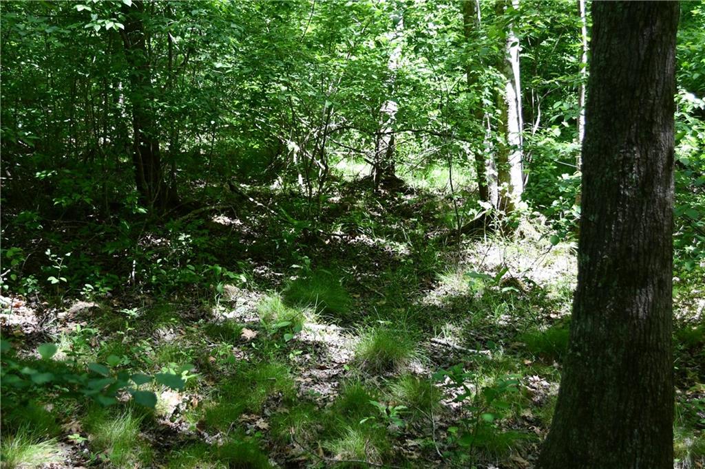 1 Wilson Road Temple, GA 30179 - Photo 18 of 88
