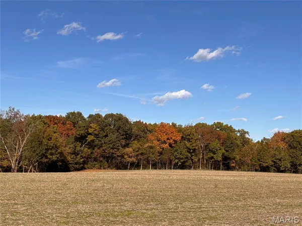 $120,000 | 4-acres Ranch Road, Wright City, MO 63390