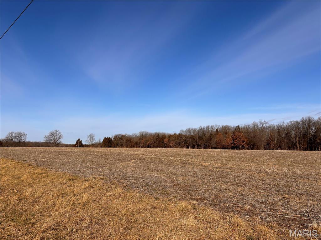 4-acres Ranch Road Wright City, MO 63390 - Photo 3 of 5