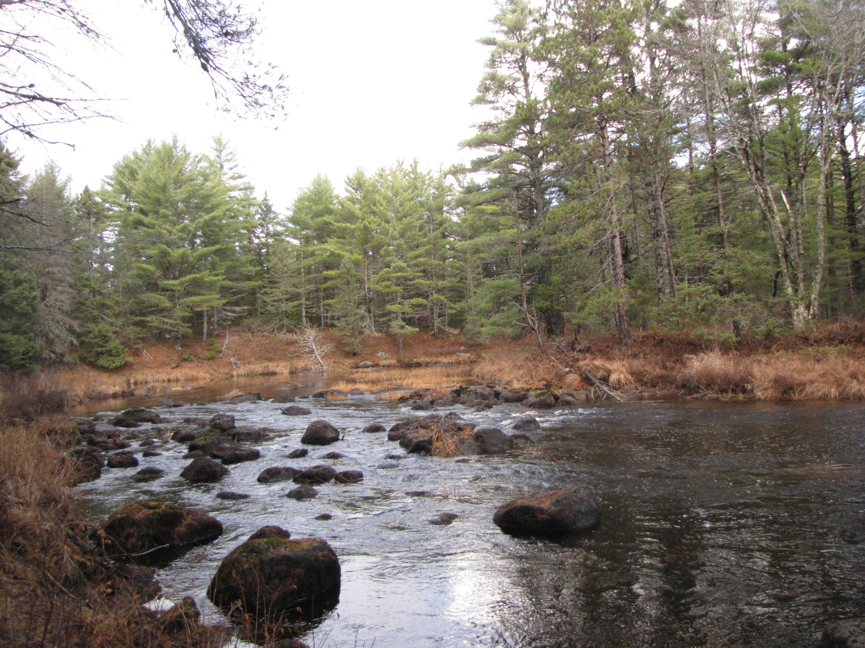 X X Off Ccc Road Machias, ME 04654 - Photo 17 of 57 IMG_1617