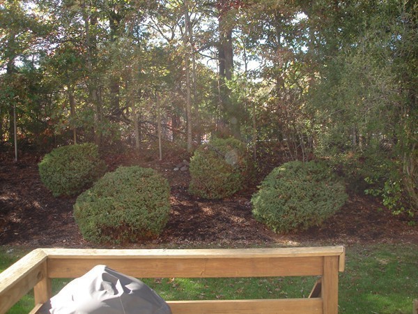 1710 Irving Road, Unit 1710 Randolph, MA 02368 - Photo 7 of 8 Gallery Image 7