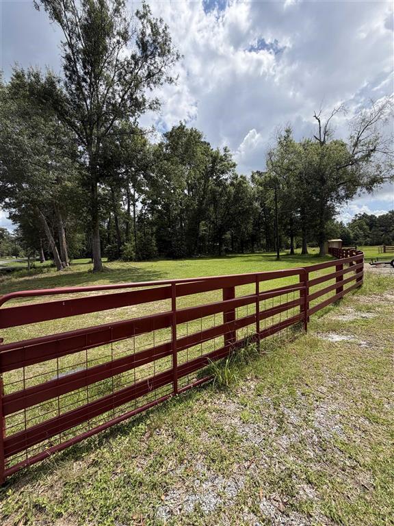 1319 Green Moore Road Starks, LA 70661 - Photo 4 of 19
