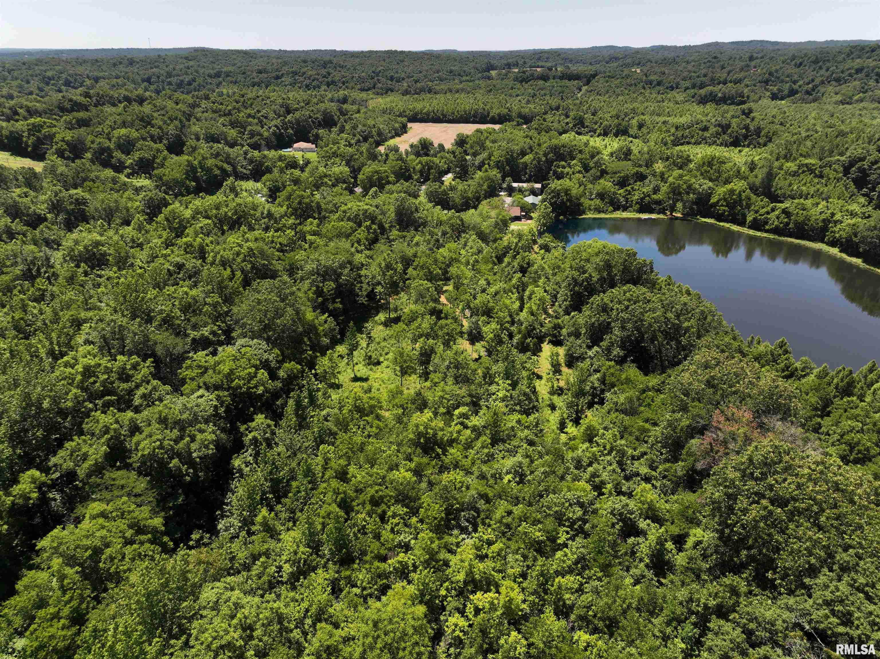 1160 Springville Hill Road Jonesboro, IL 62952 - Photo 71 of 100 Gallery Image 71