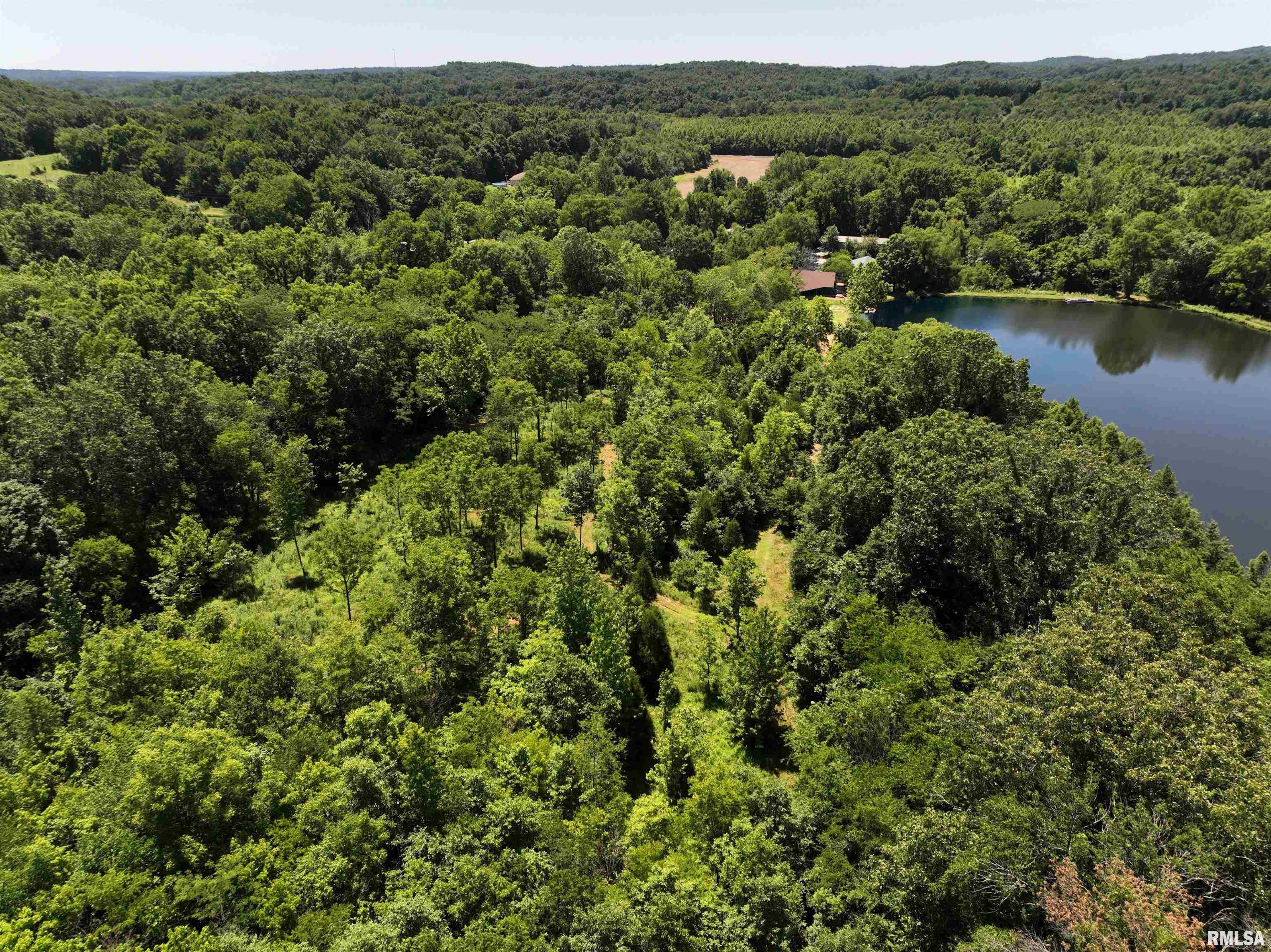1160 Springville Hill Road Jonesboro, IL 62952 - Photo 72 of 100 Gallery Image 72