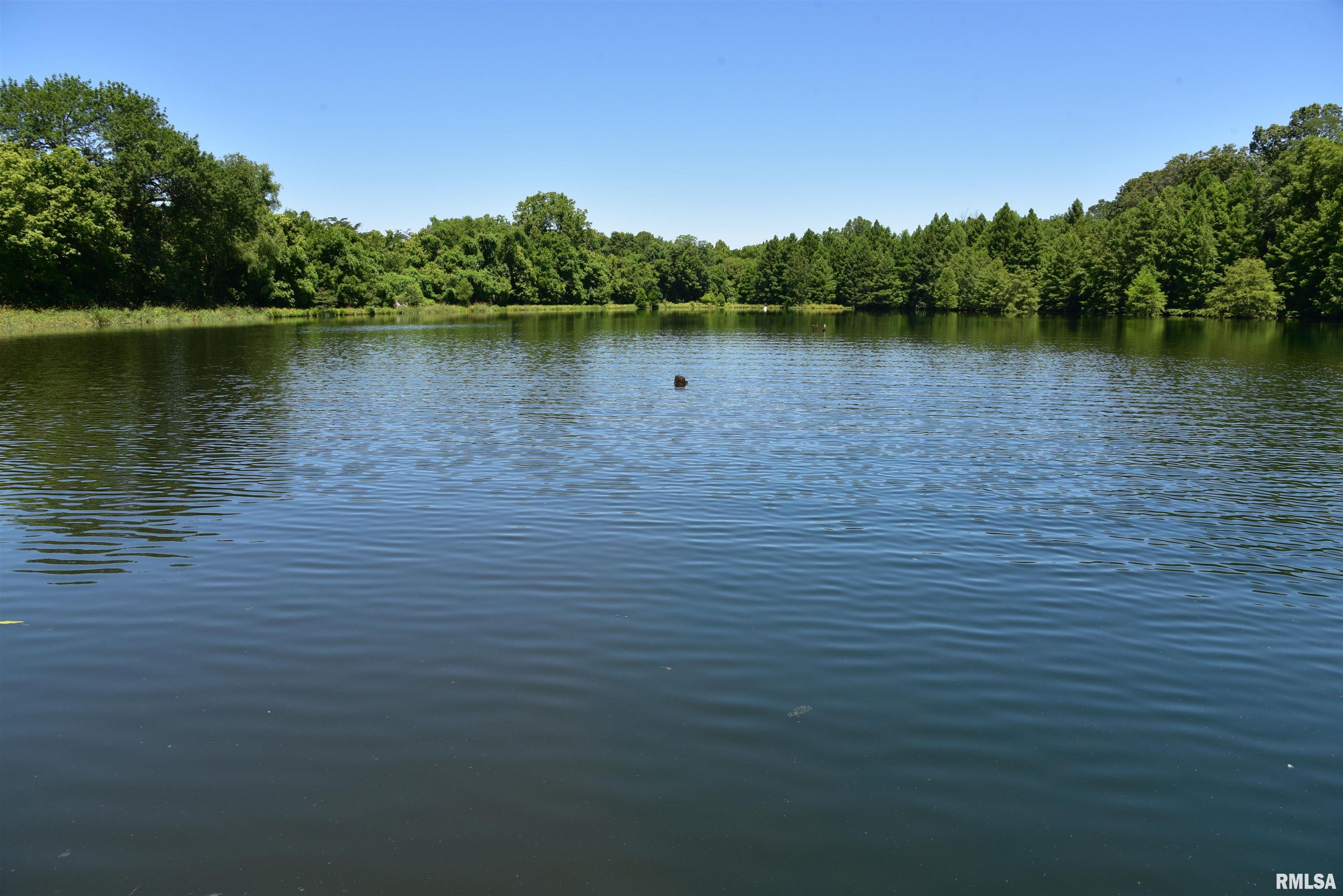 1160 Springville Hill Road Jonesboro, IL 62952 - Photo 88 of 100 Gallery Image 88