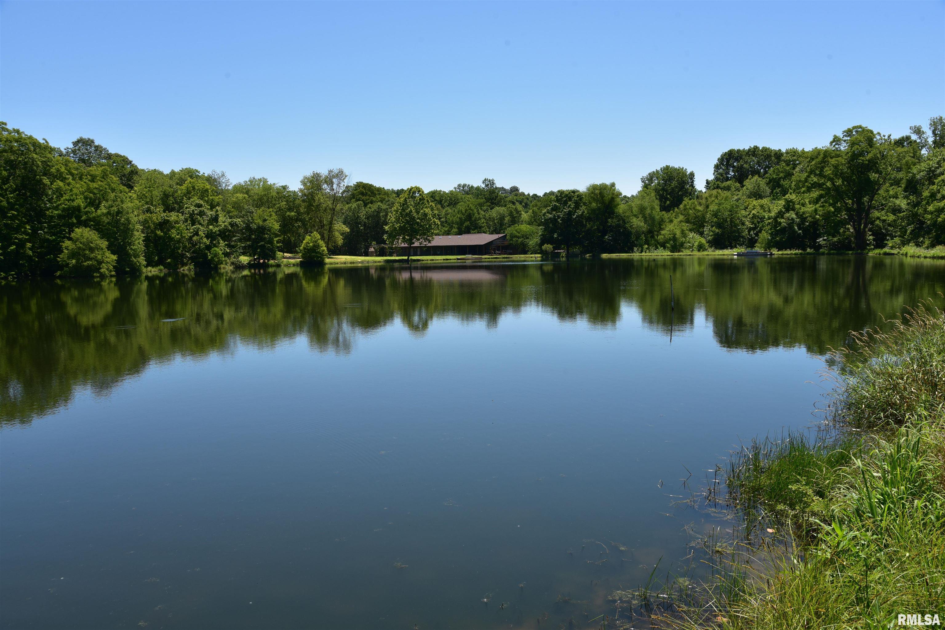 1160 Springville Hill Road Jonesboro, IL 62952 - Photo 89 of 100 Gallery Image 89