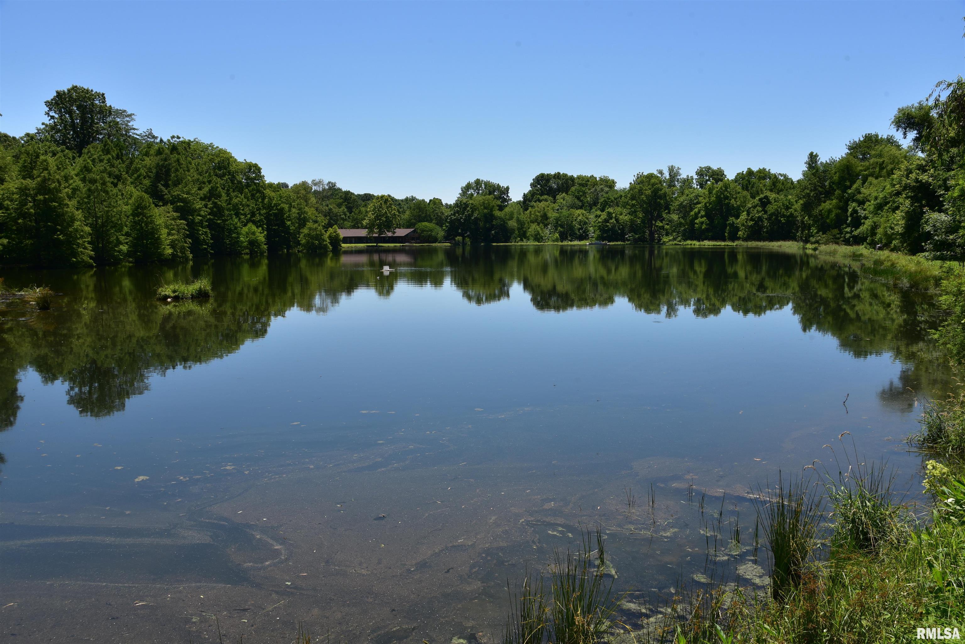 1160 Springville Hill Road Jonesboro, IL 62952 - Photo 90 of 100 Gallery Image 90