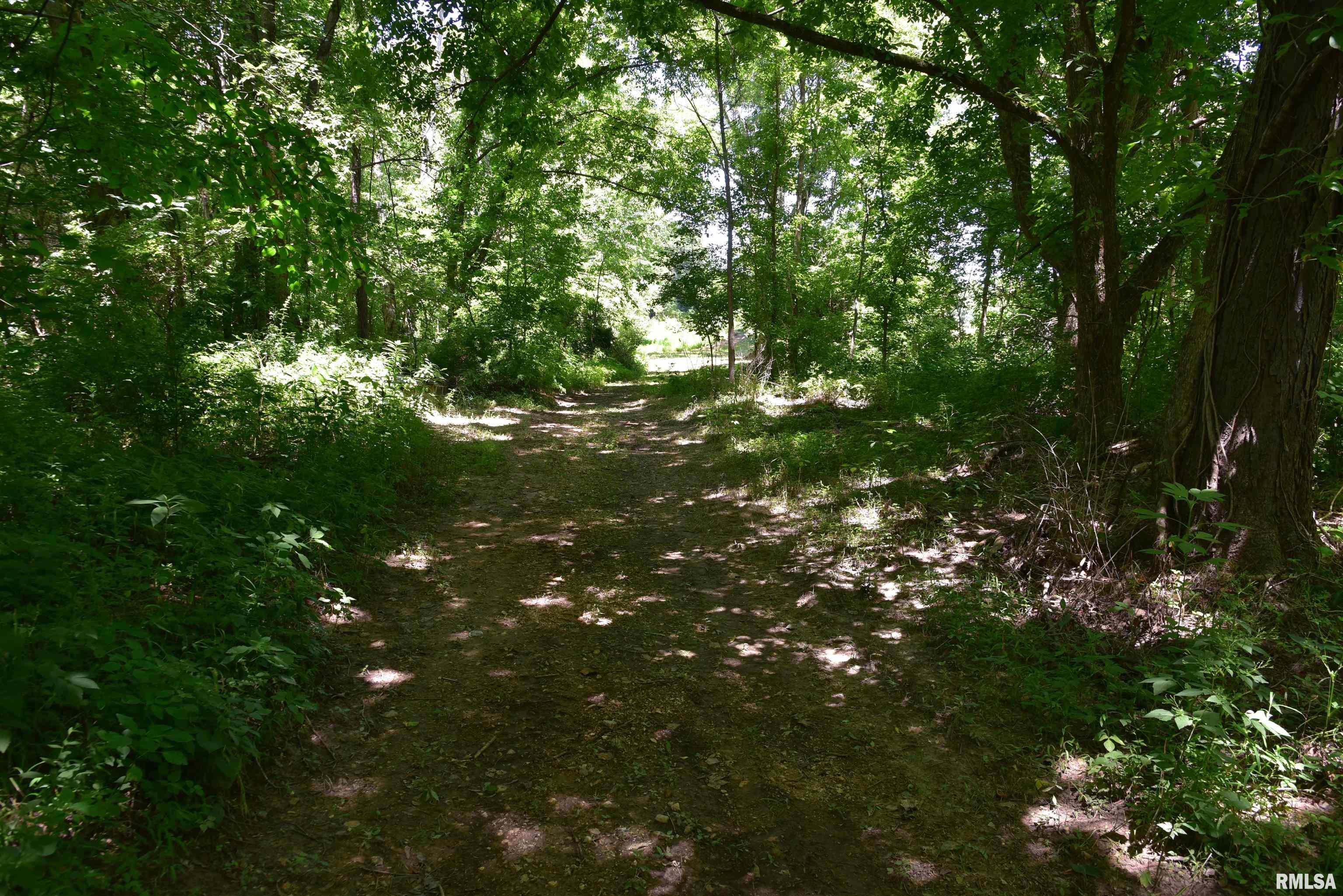 1160 Springville Hill Road Jonesboro, IL 62952 - Photo 93 of 100 Gallery Image 93
