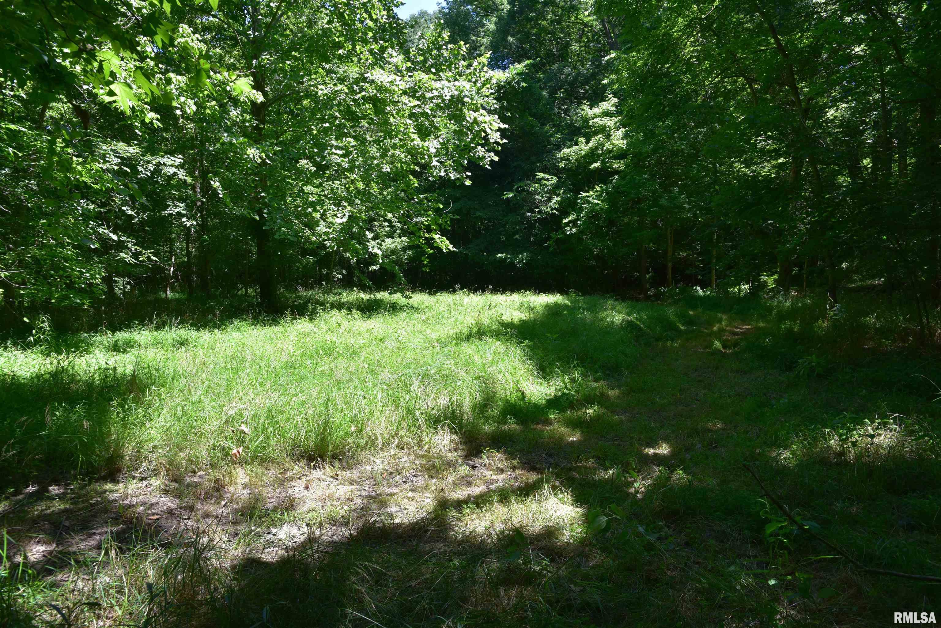 1160 Springville Hill Road Jonesboro, IL 62952 - Photo 97 of 100 Gallery Image 97