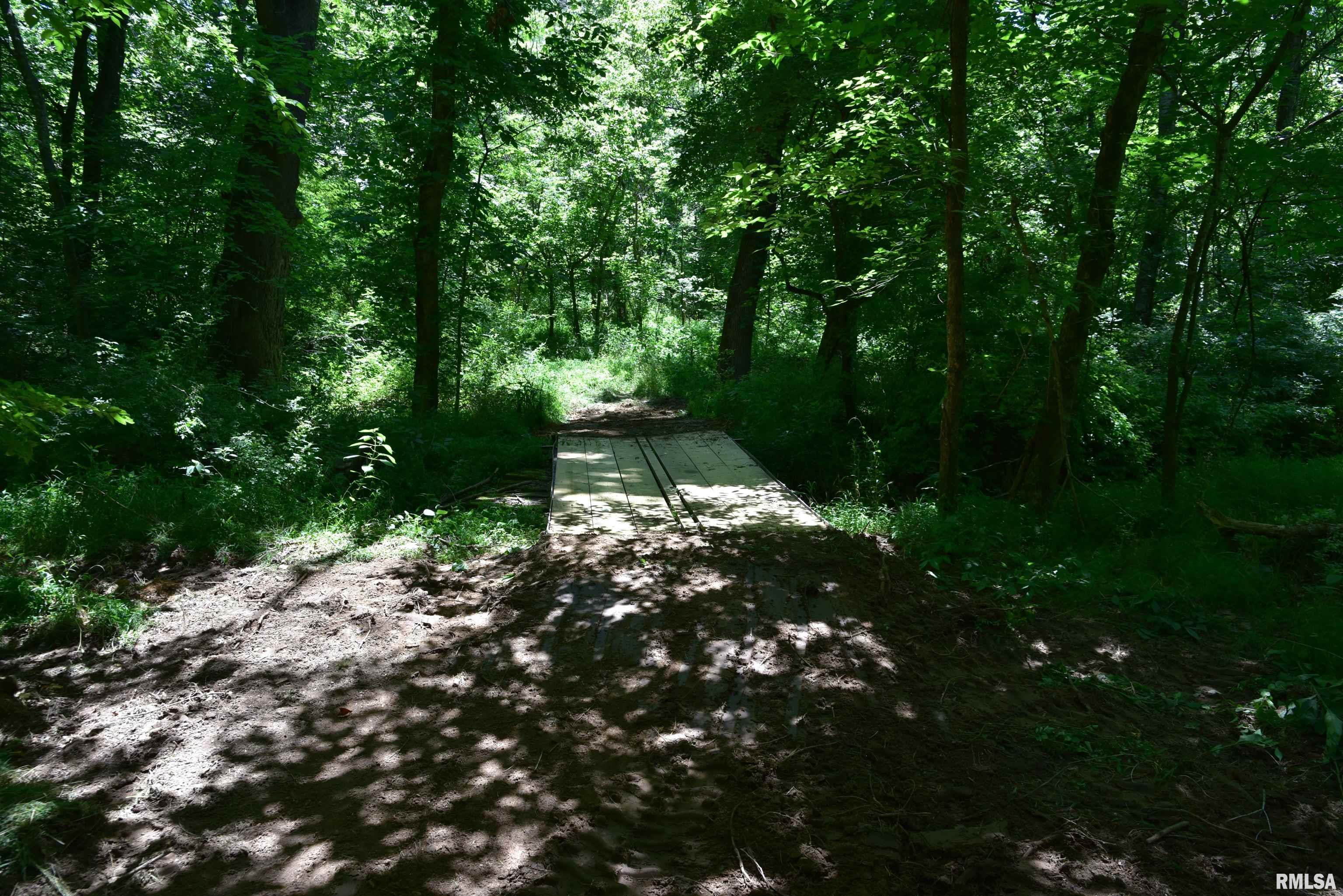 1160 Springville Hill Road Jonesboro, IL 62952 - Photo 98 of 100 Gallery Image 98