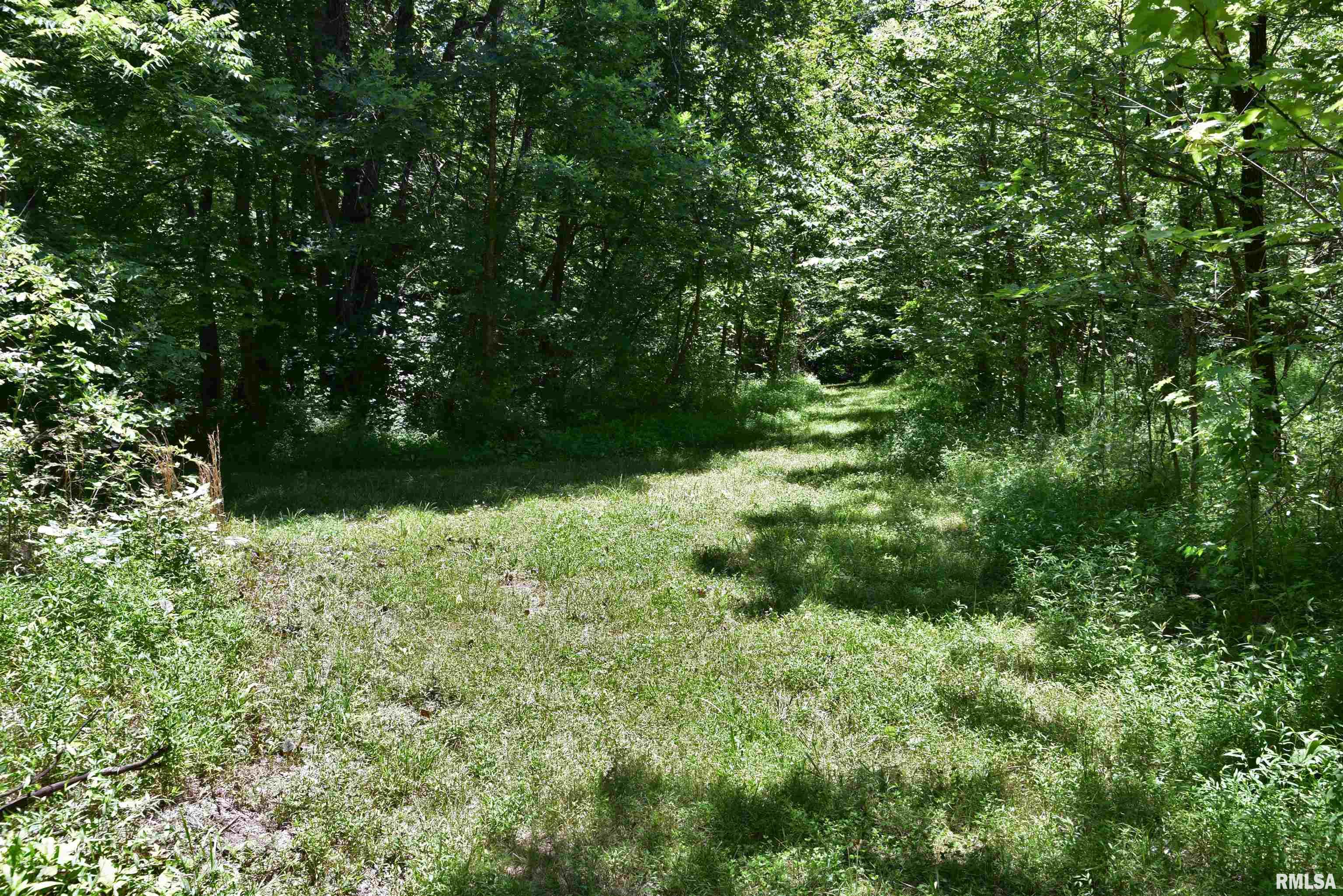 1160 Springville Hill Road Jonesboro, IL 62952 - Photo 99 of 100 Gallery Image 99