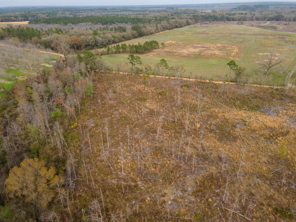22-acres Davis Road Southwest Valdosta, GA 31601 - Photo 6 of 12 Gallery Image 6