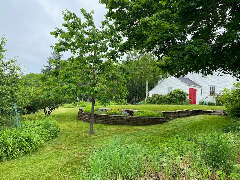 111 Old Bar Harbor Road Bar Harbor, ME 04609 - Photo 68 of 74 111 Old BH Rd yard2